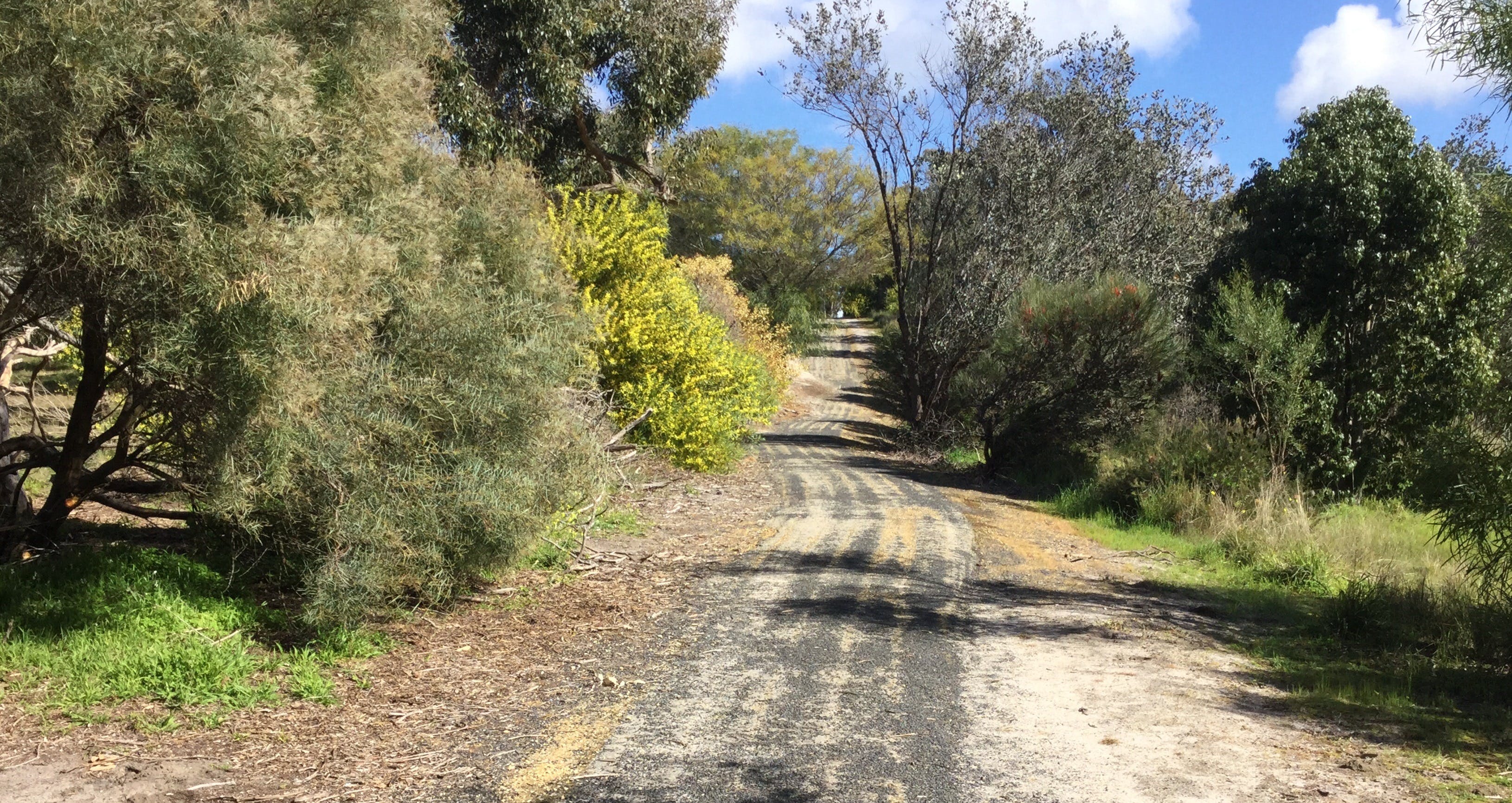 Naracoorte North Nature Park - Accommodation Directory