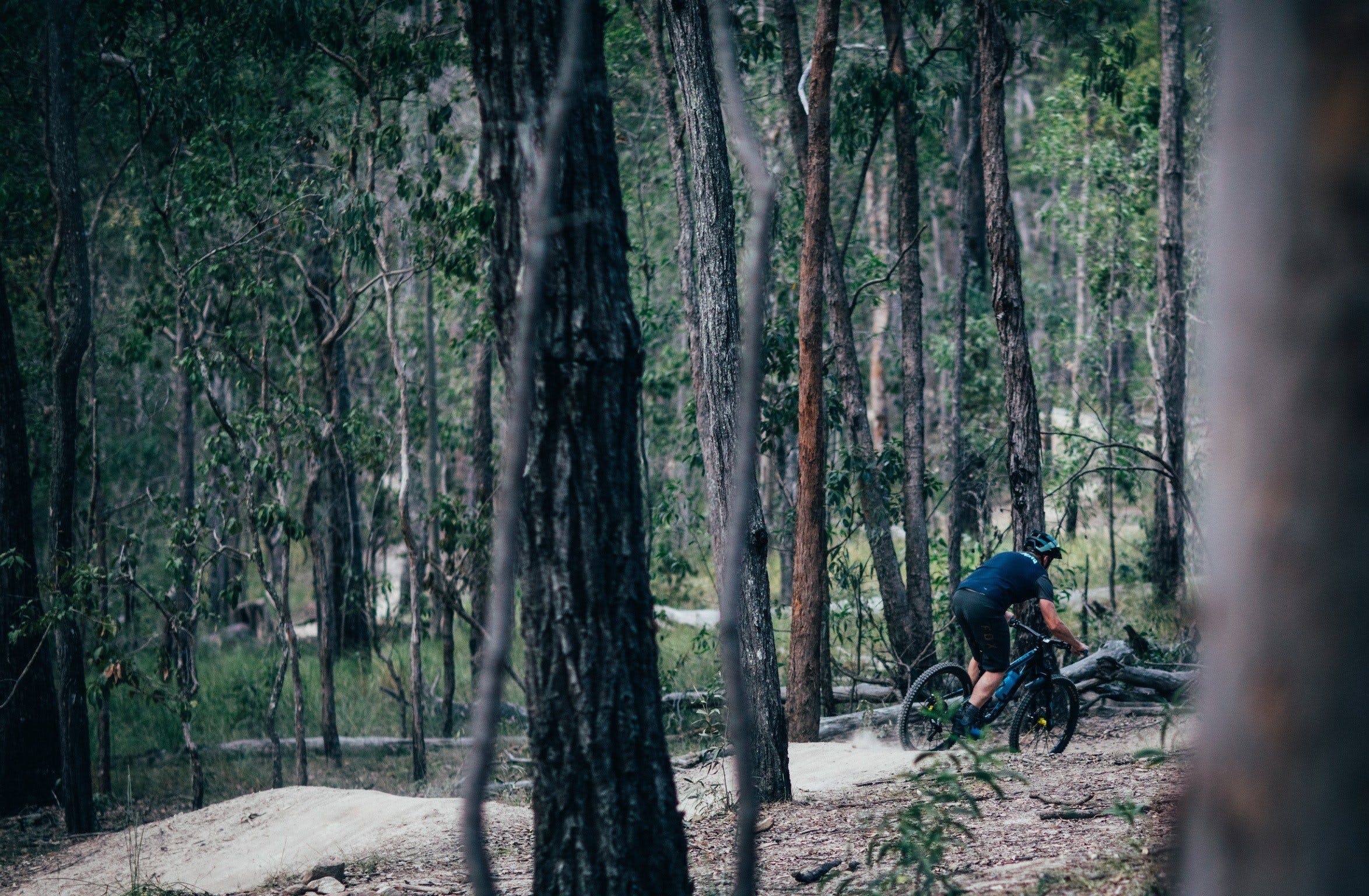 Old Tambo Downhill Mountain Bike Track - Attractions Melbourne