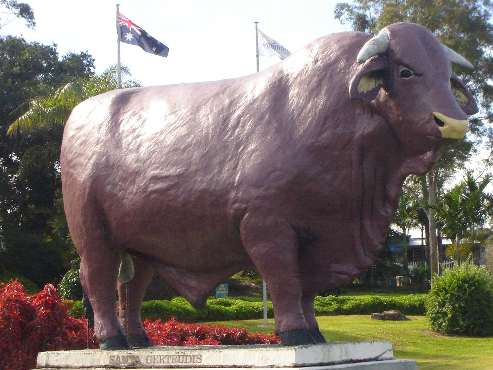 Rockhampton Bull Statues - thumb 1