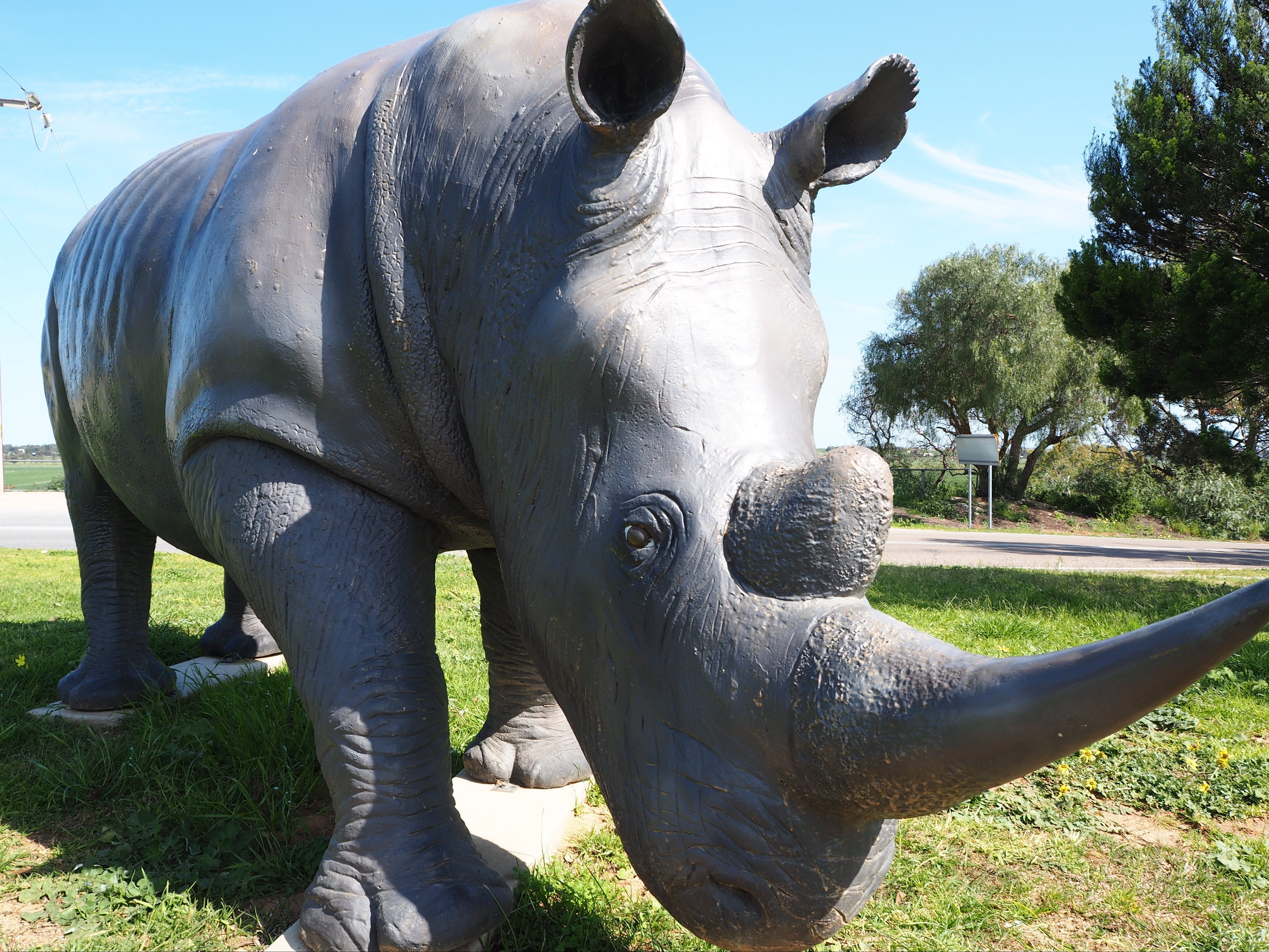 Tailem Bend Rhino Park and Dickson Reserve - WA Accommodation