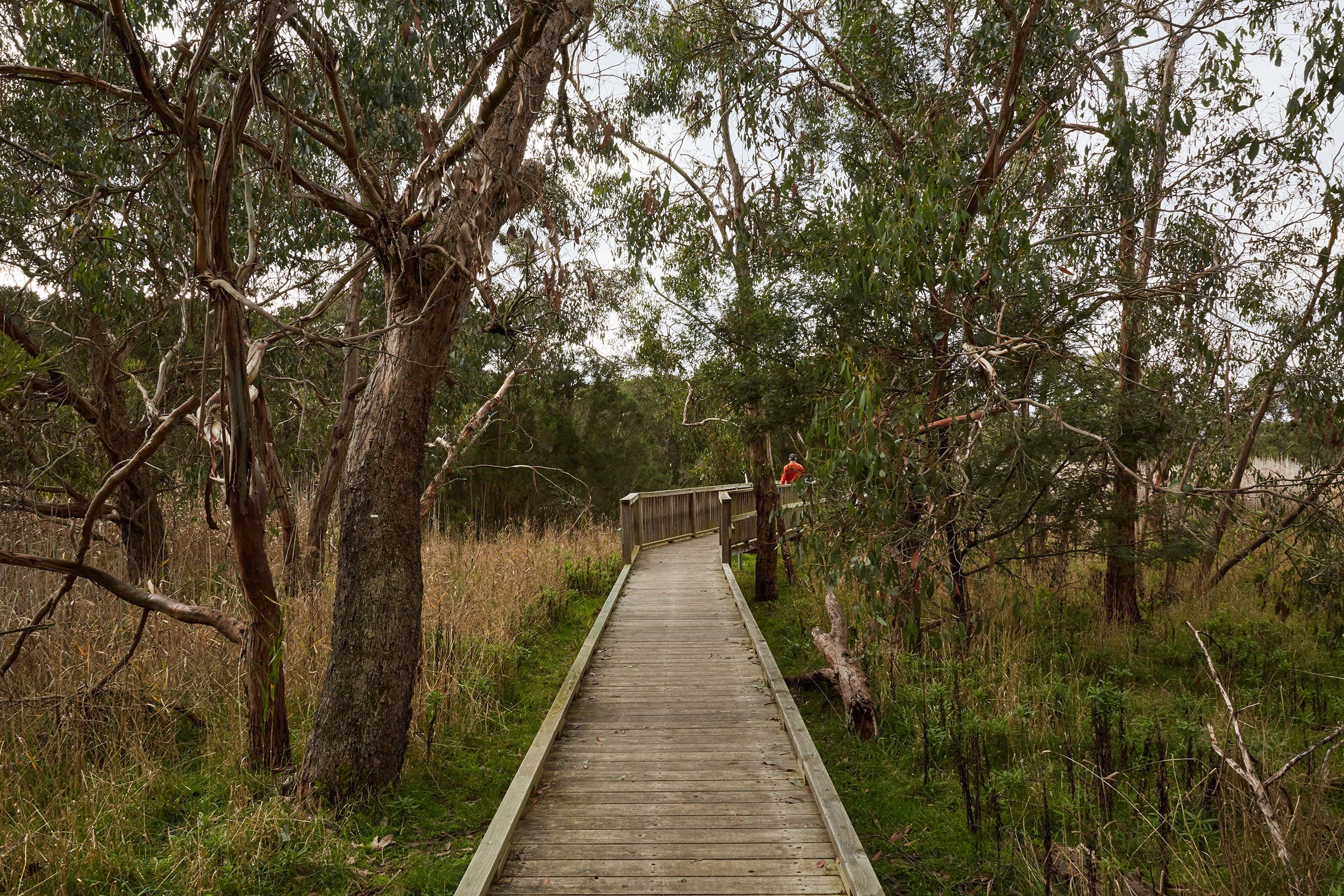 The Briars Park Walking Trails - Wagga Wagga Accommodation
