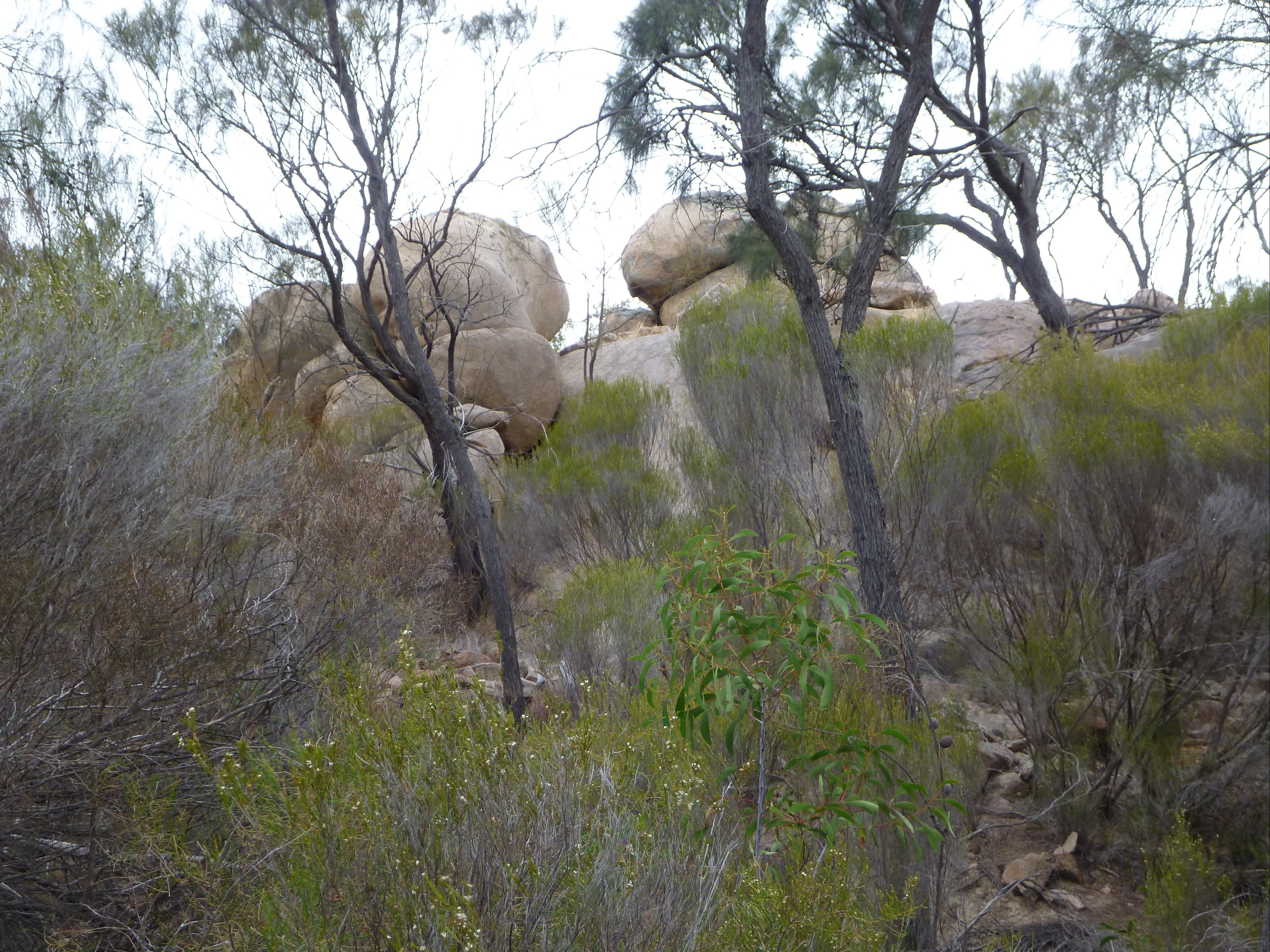 Tolmer Rocks - Mount Boothby Conservation Park - thumb 0