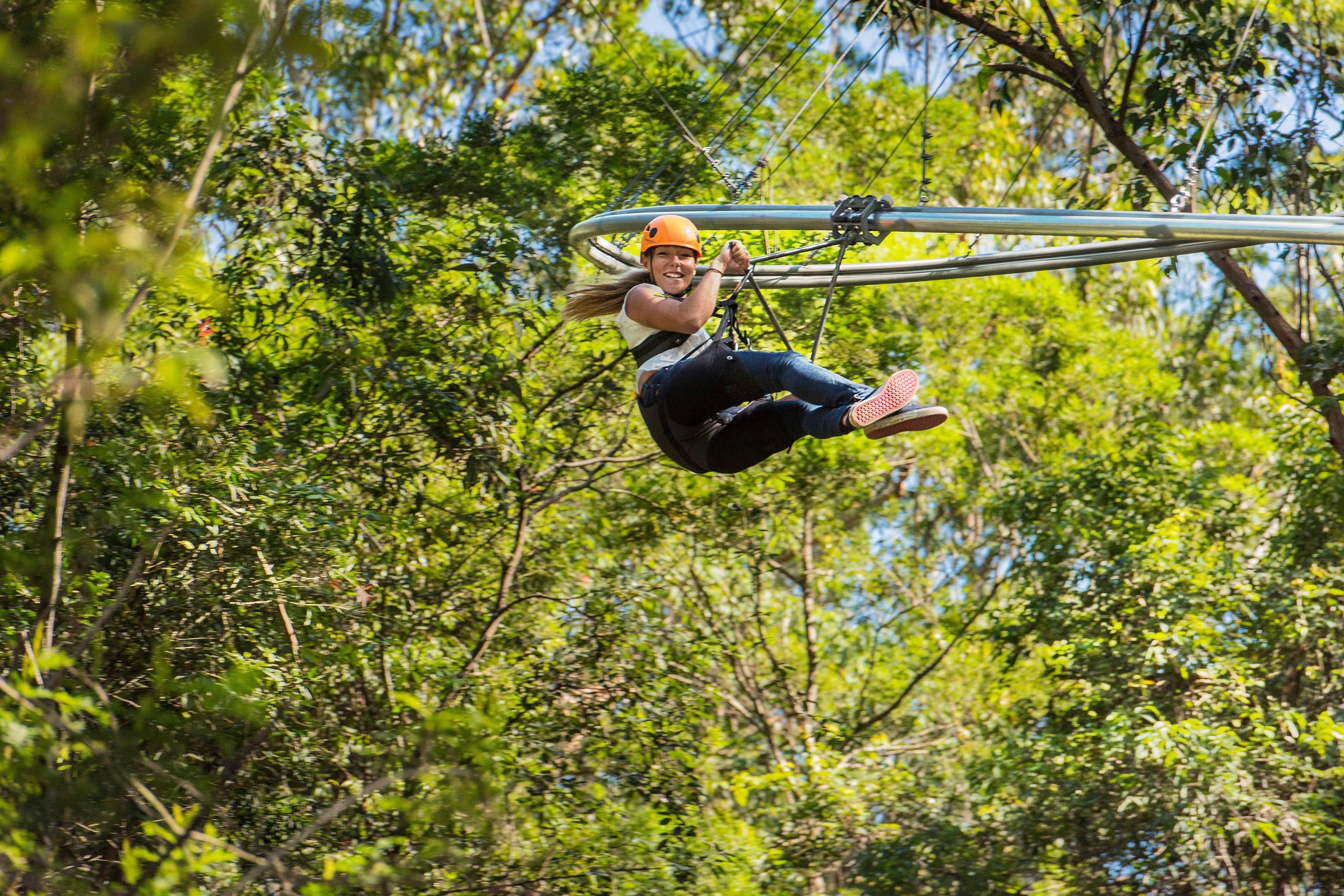 TreeTop Crazy Rider - Find Attractions