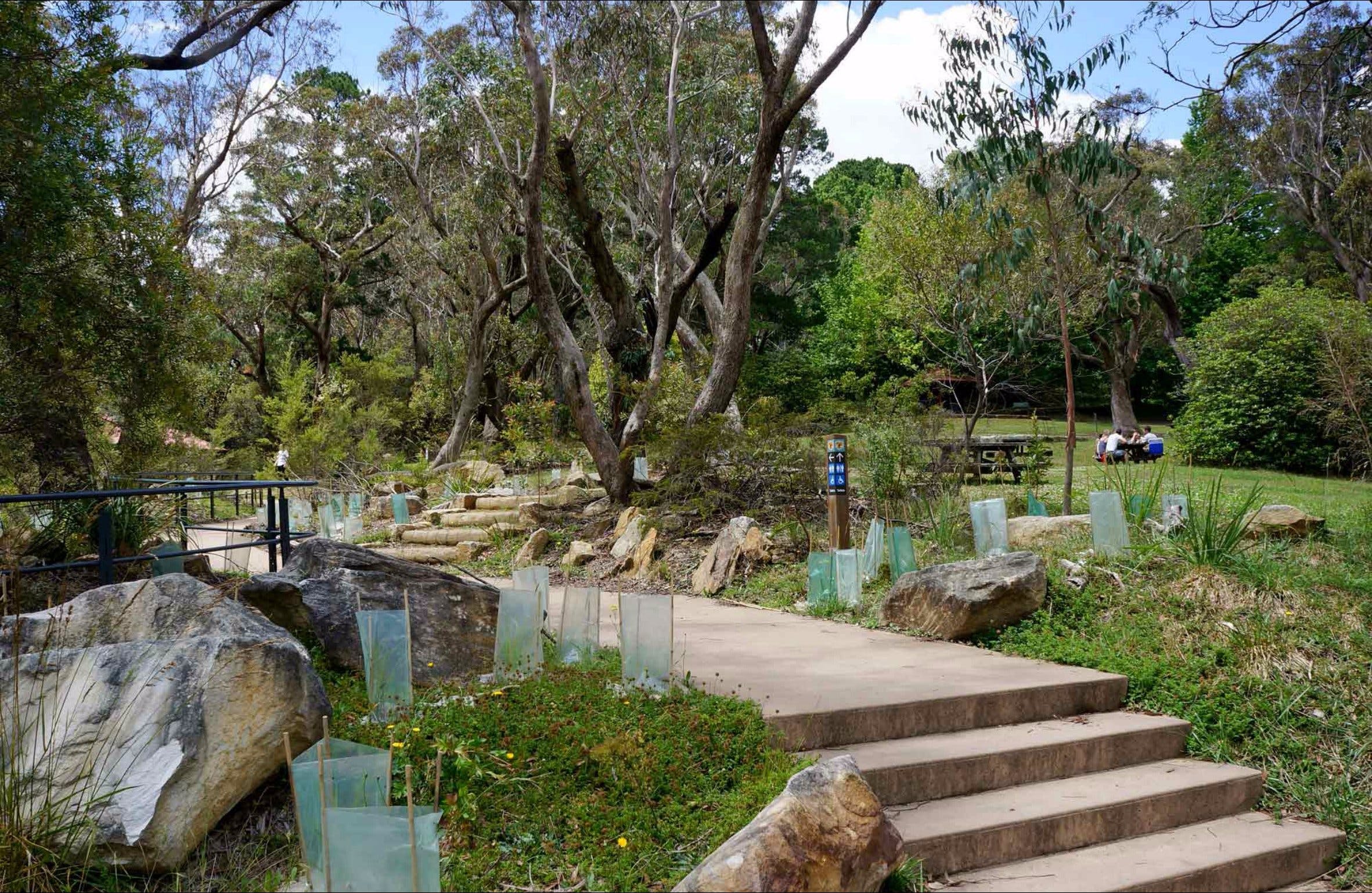 Wentworth Falls picnic area - Attractions