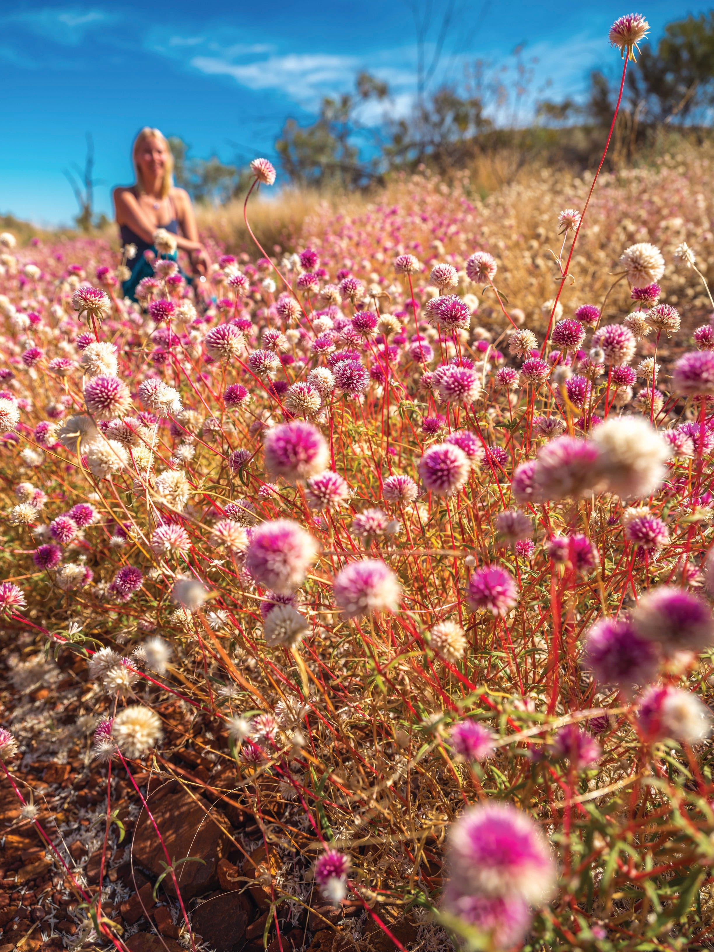 Wineries and Wildflowers - Accommodation Port Hedland