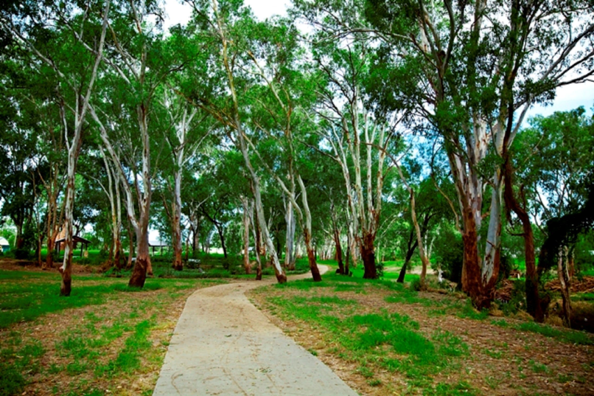 Adungadoo Pathway - Accommodation in Brisbane