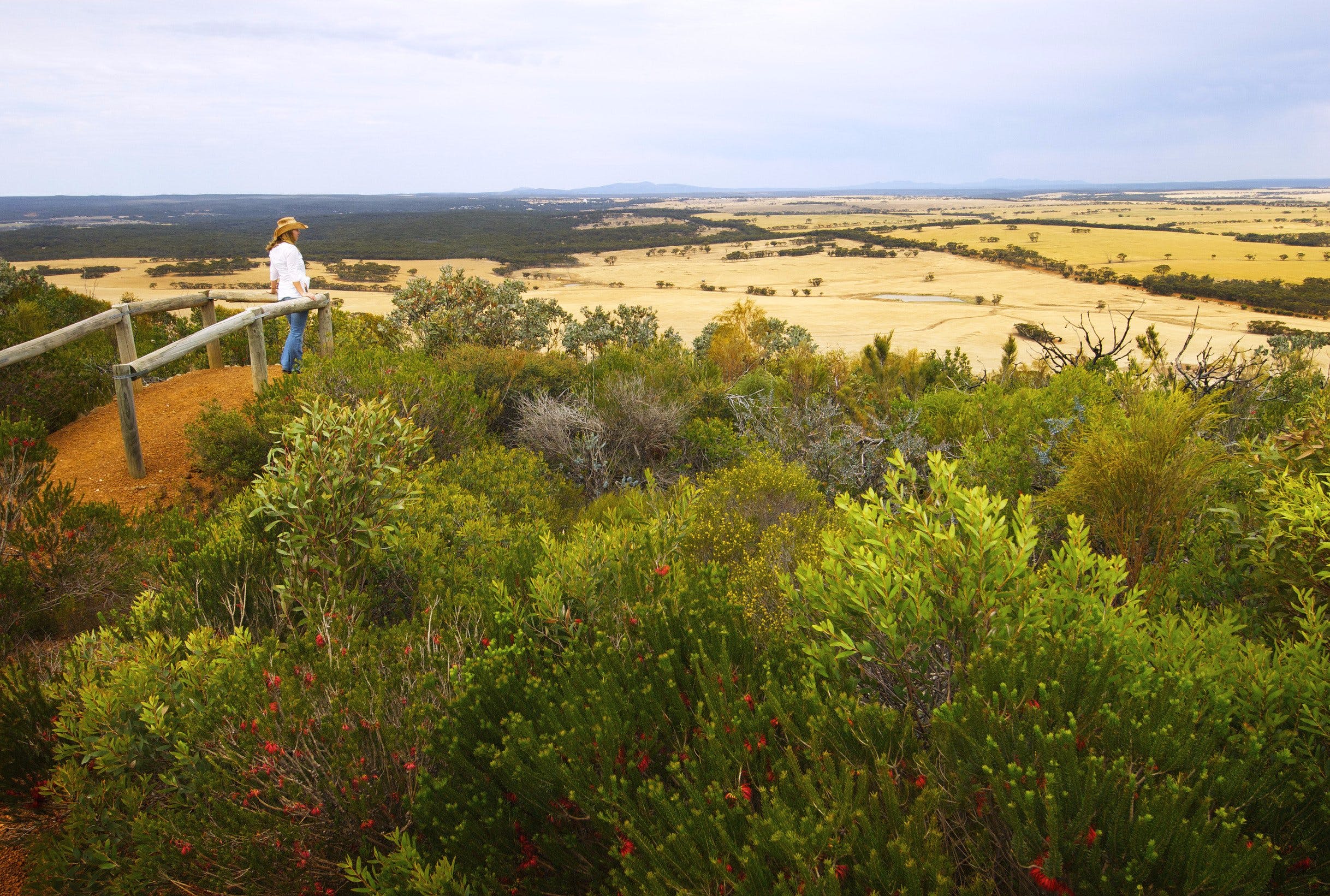 Archer Drive Scenic Drive and Lookout - Tourism Adelaide