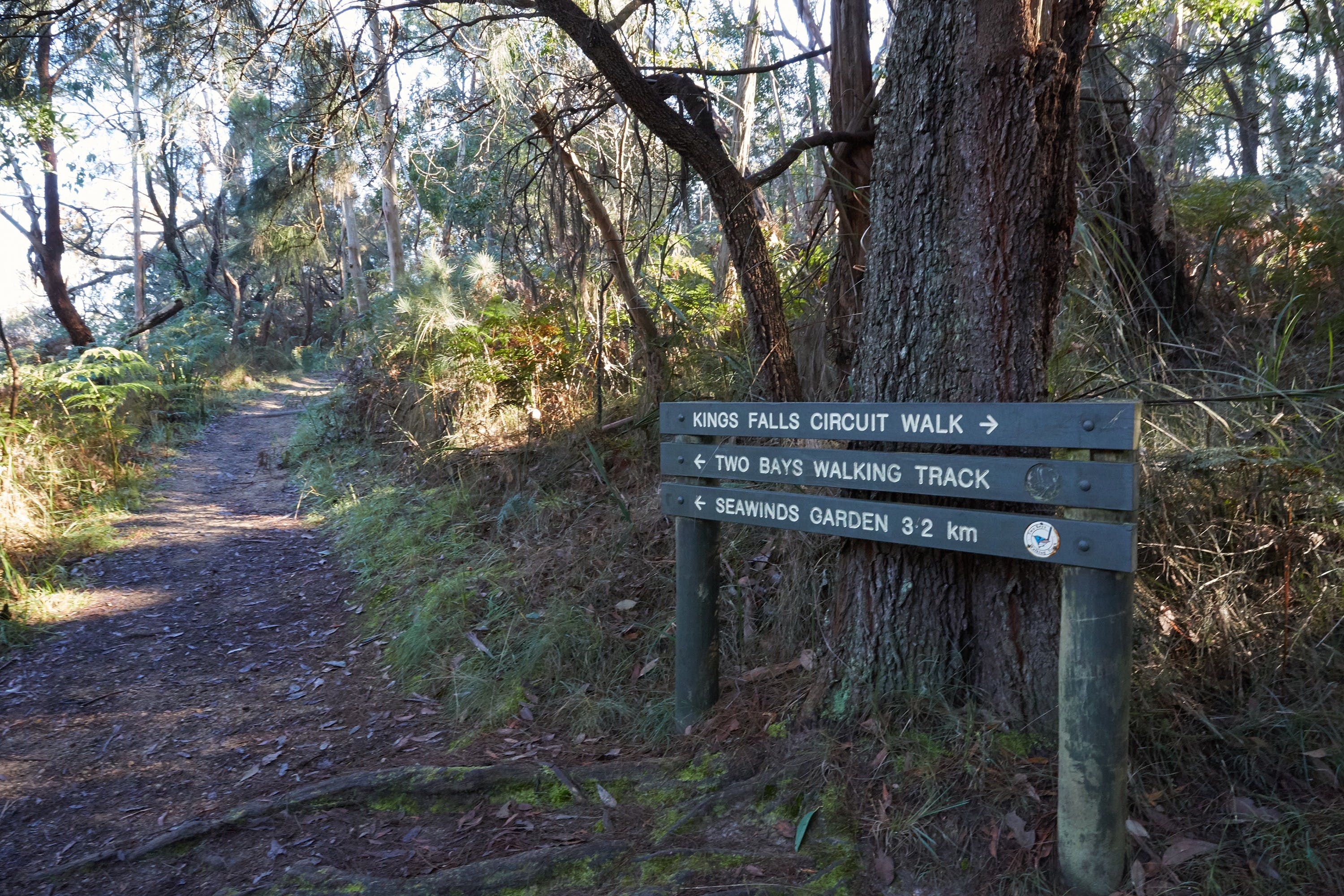 Arthurs Seat to Kings Falls Walk - Attractions