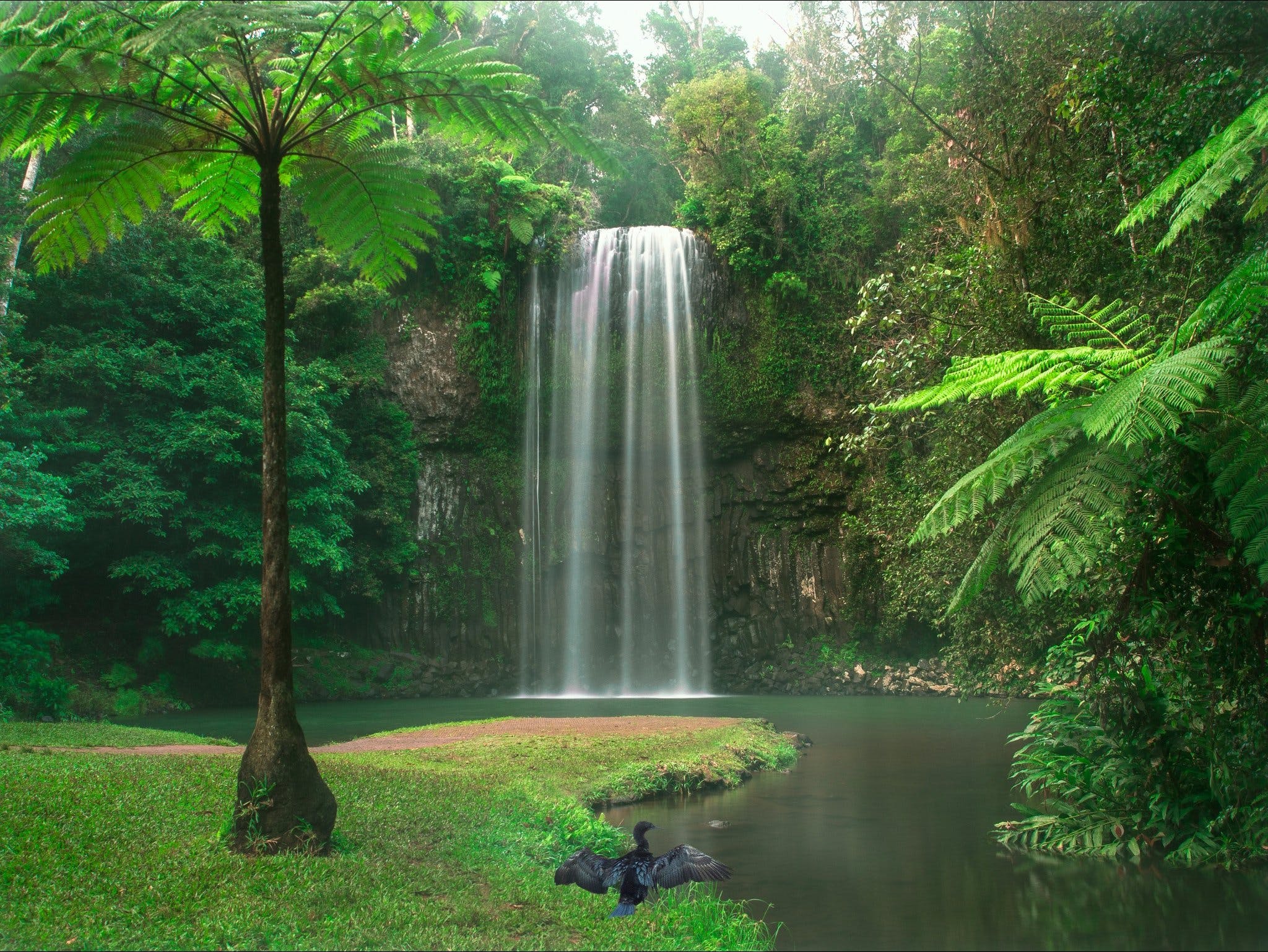 Atherton Tablelands - Attractions