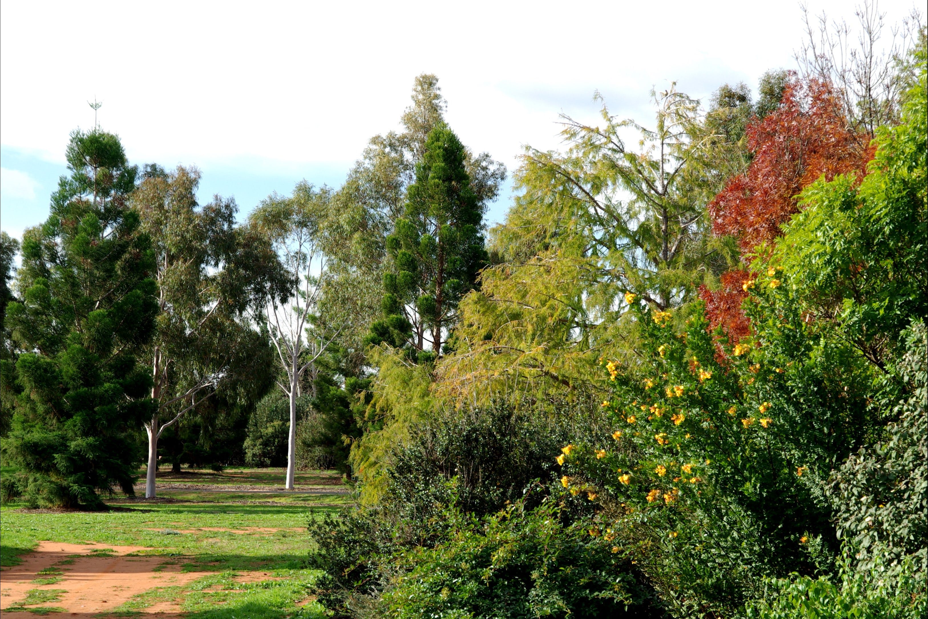 Australian Inland Botanic Gardens - thumb 2