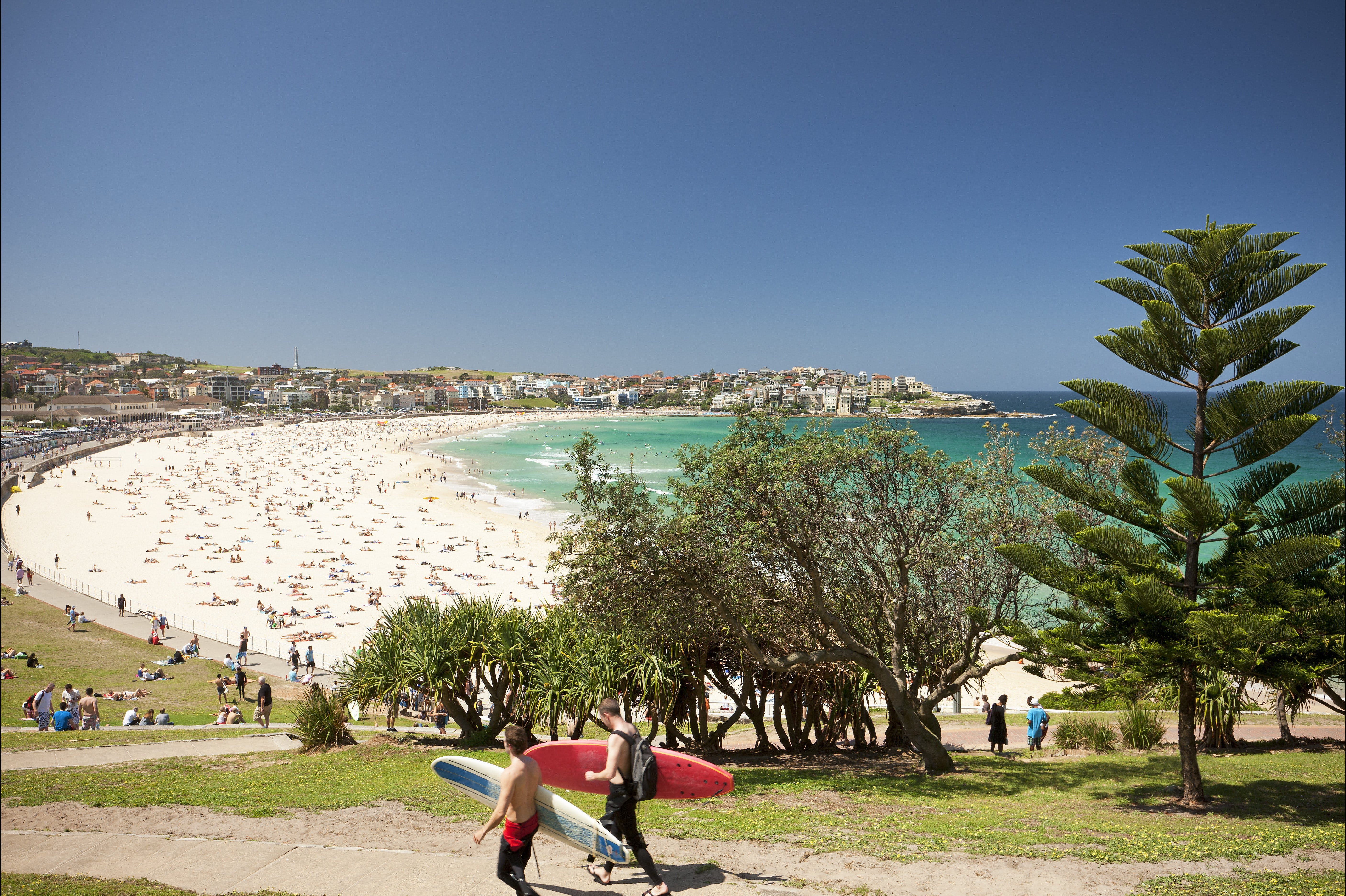 Bondi to Coogee Coastal Walk - Attractions Sydney