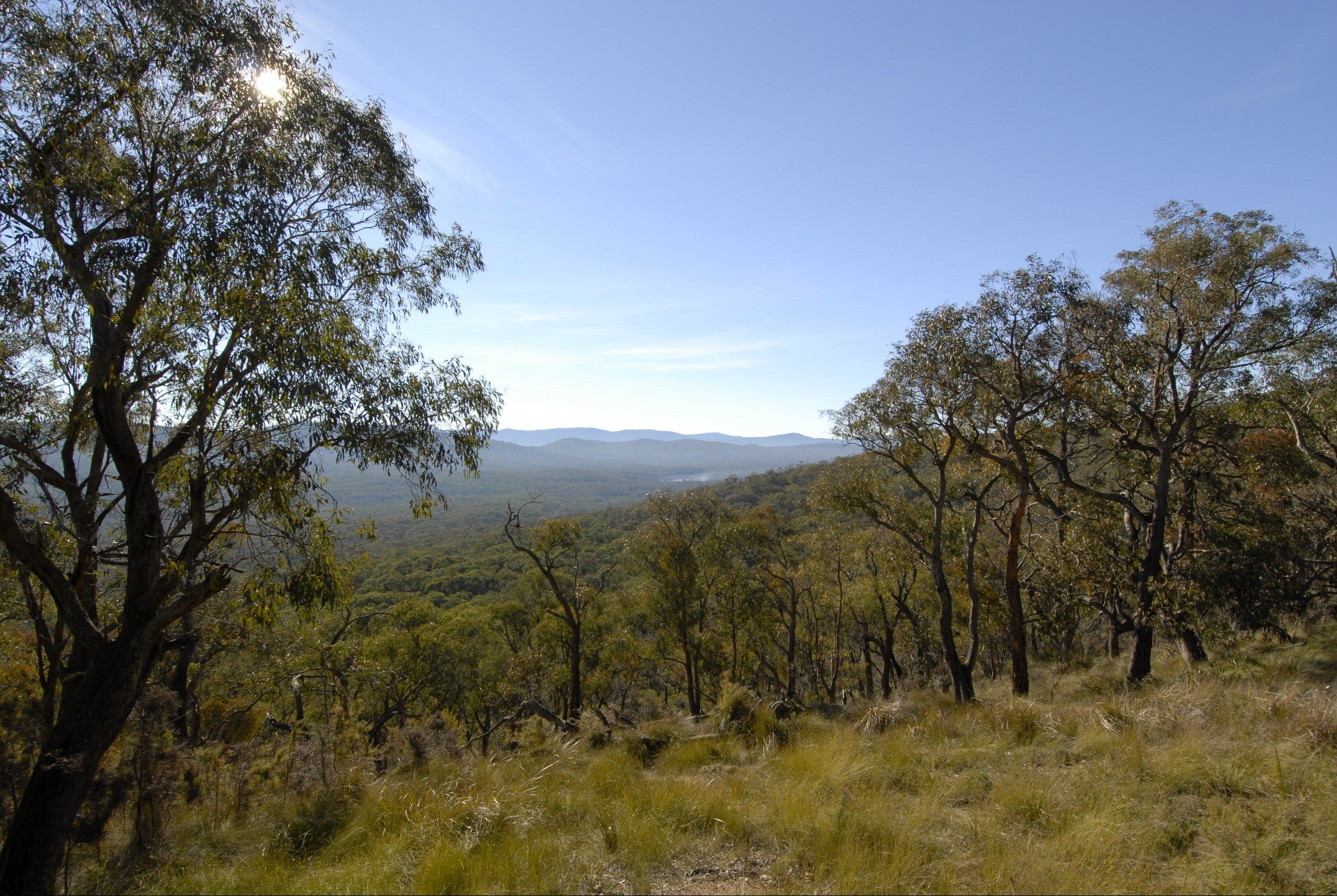 Bunyip State Park - Attractions
