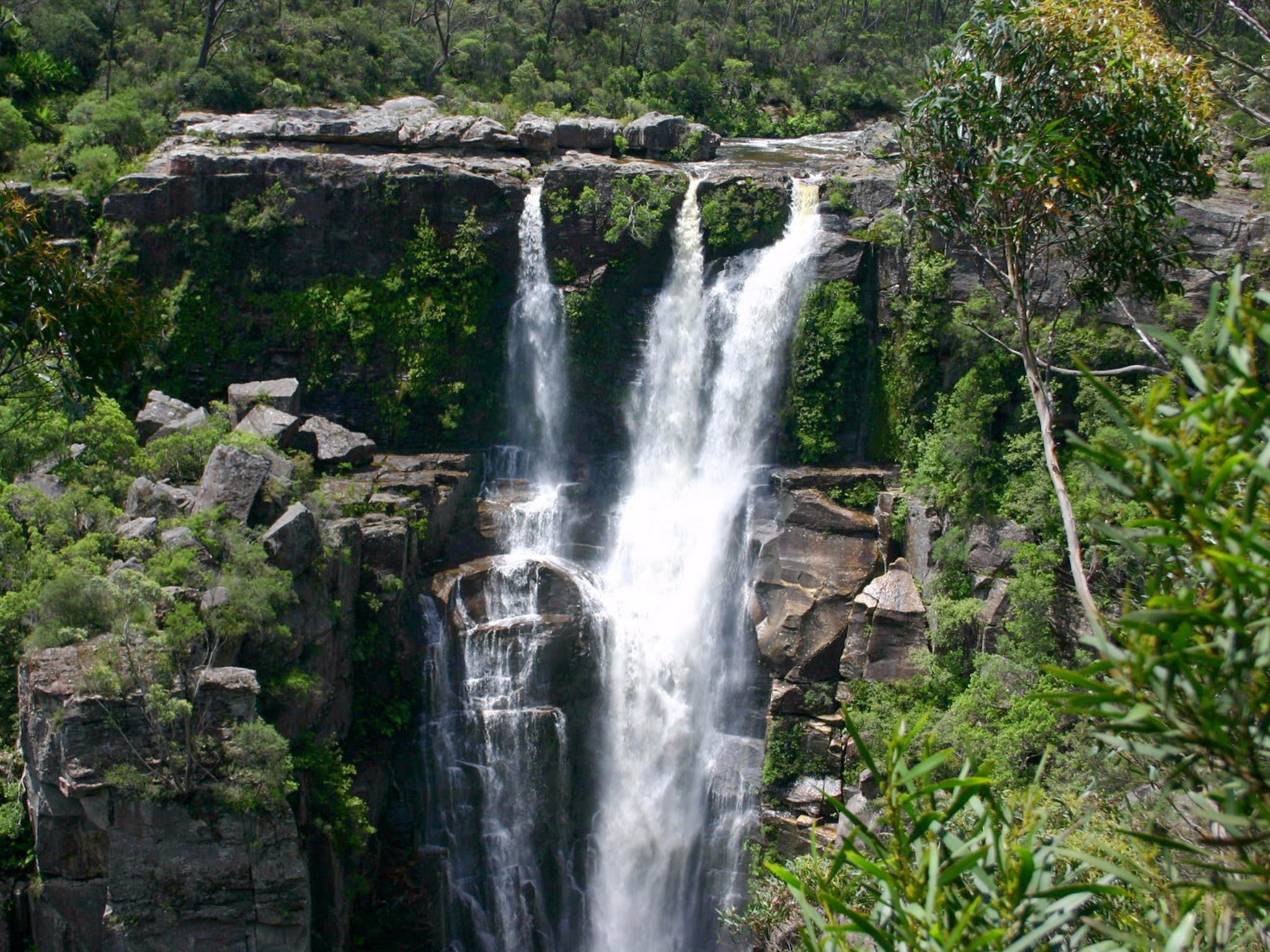 Carrington Falls - Whitsundays Tourism