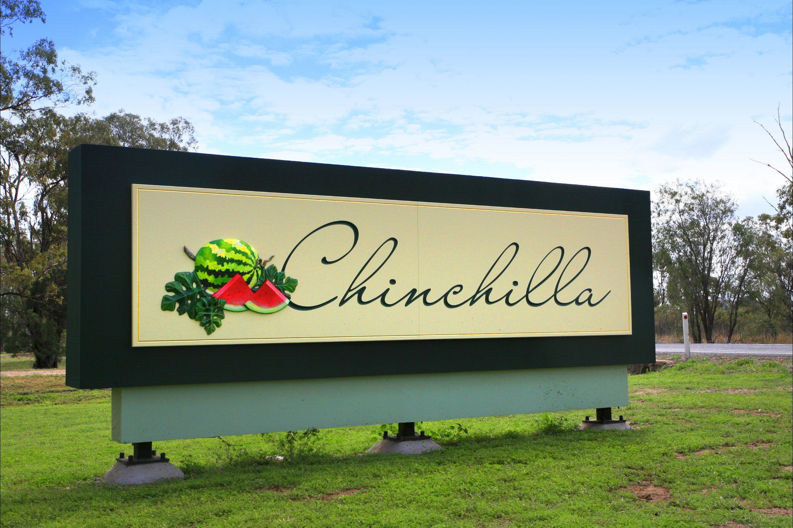 Chinchilla - thumb 1