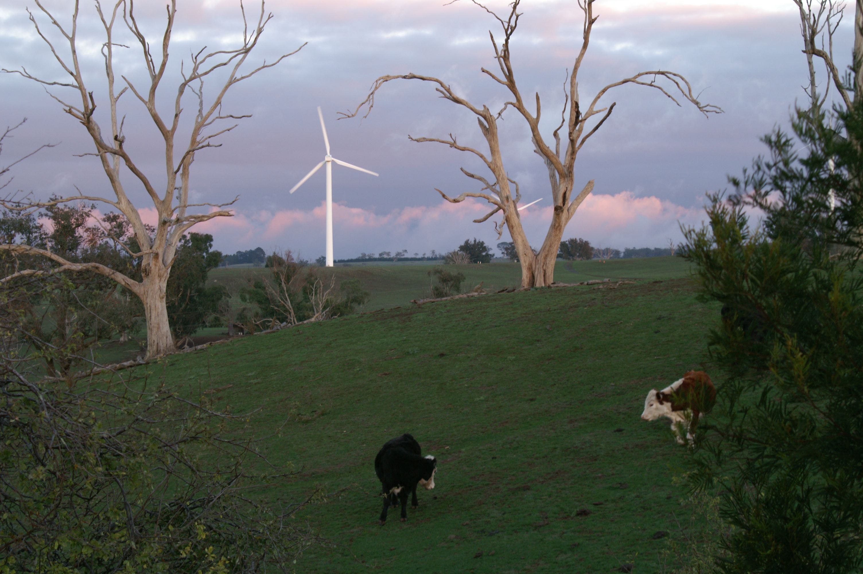 Crookwell Wind Farm - thumb 1
