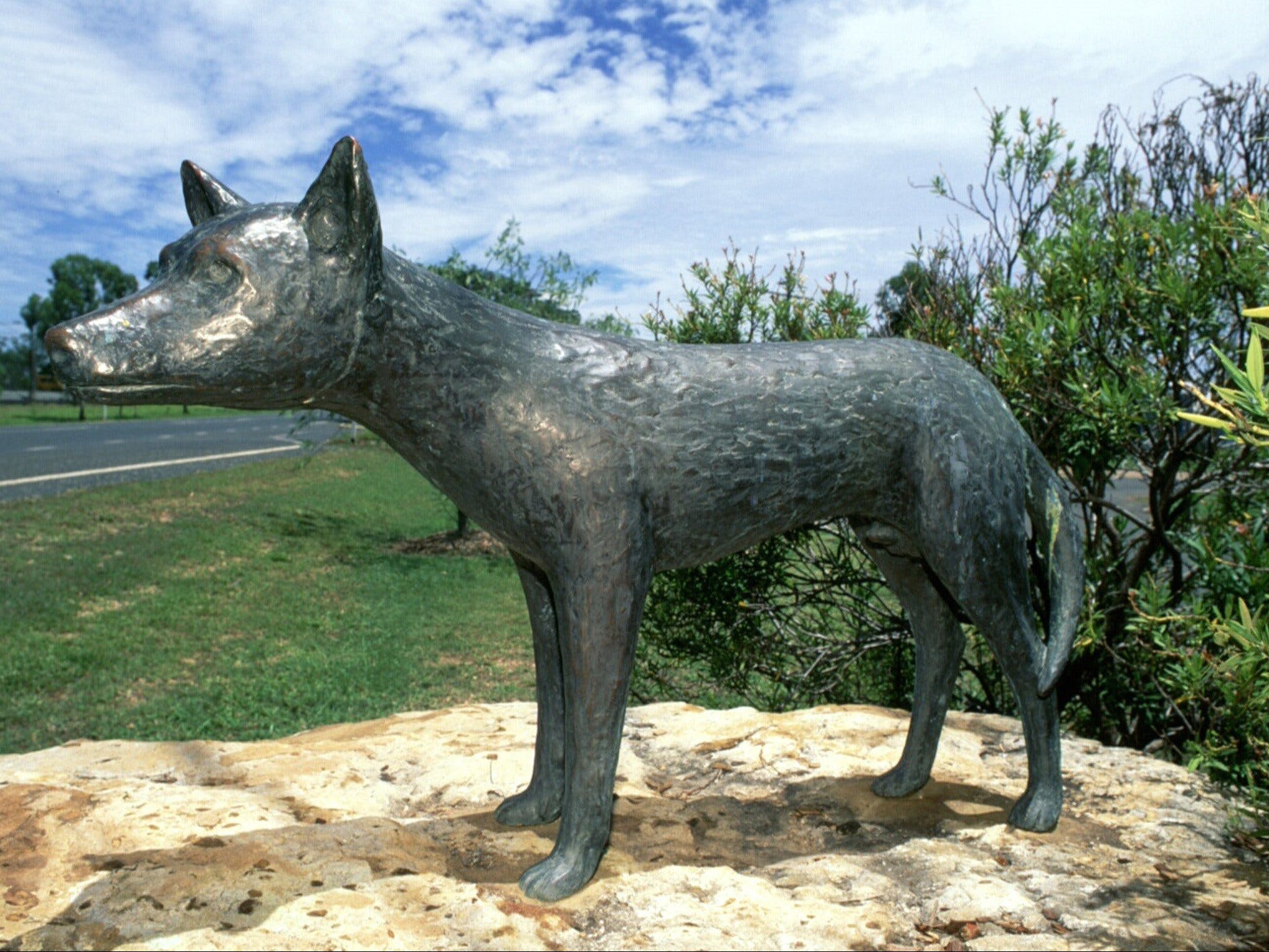 Dingo Statue - thumb 0