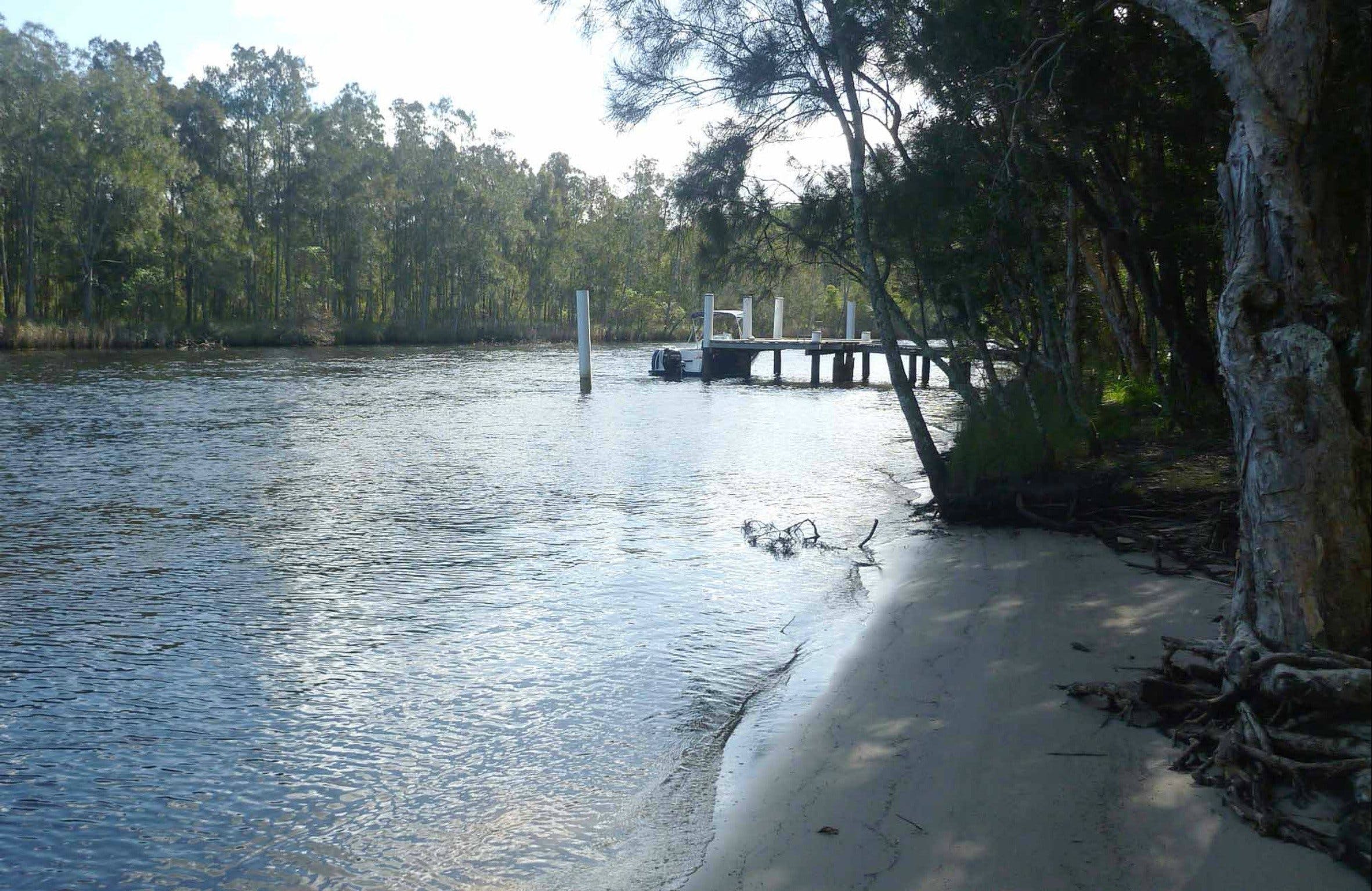 Engels Reach picnic area - Accommodation Noosa
