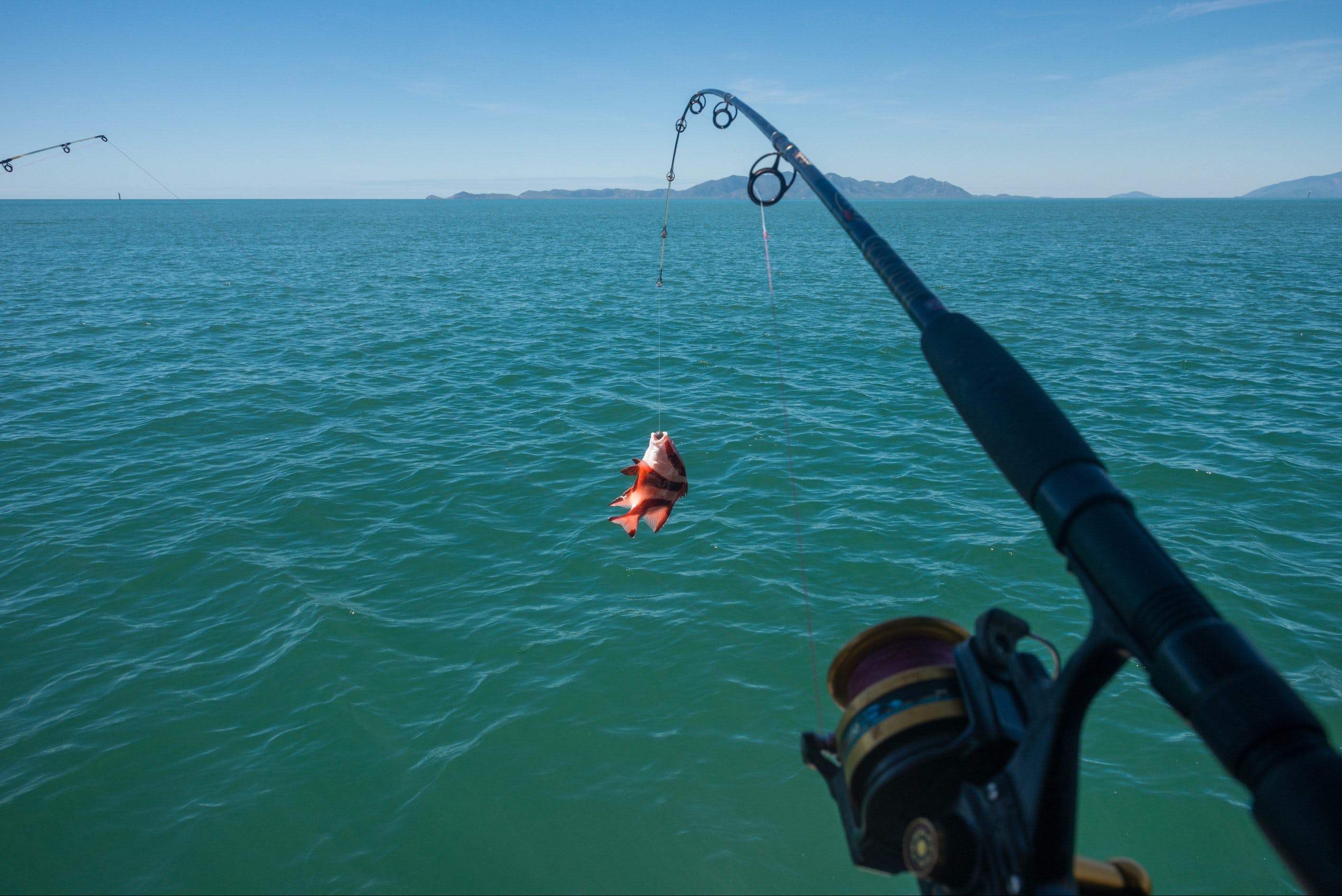 Fishing At Magnetic Island - thumb 1