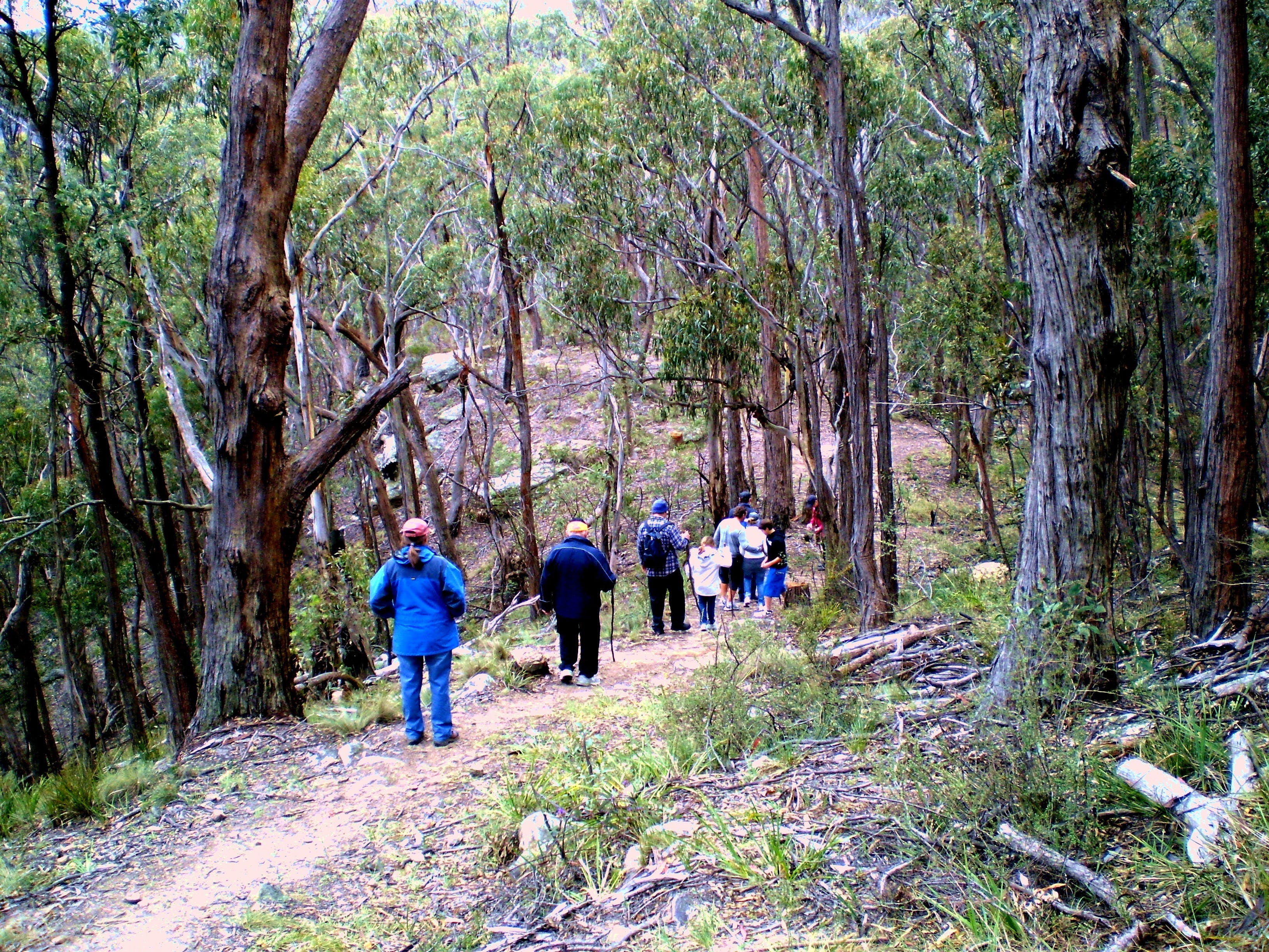 Greater Blue Mountains Heritage Trail - thumb 2