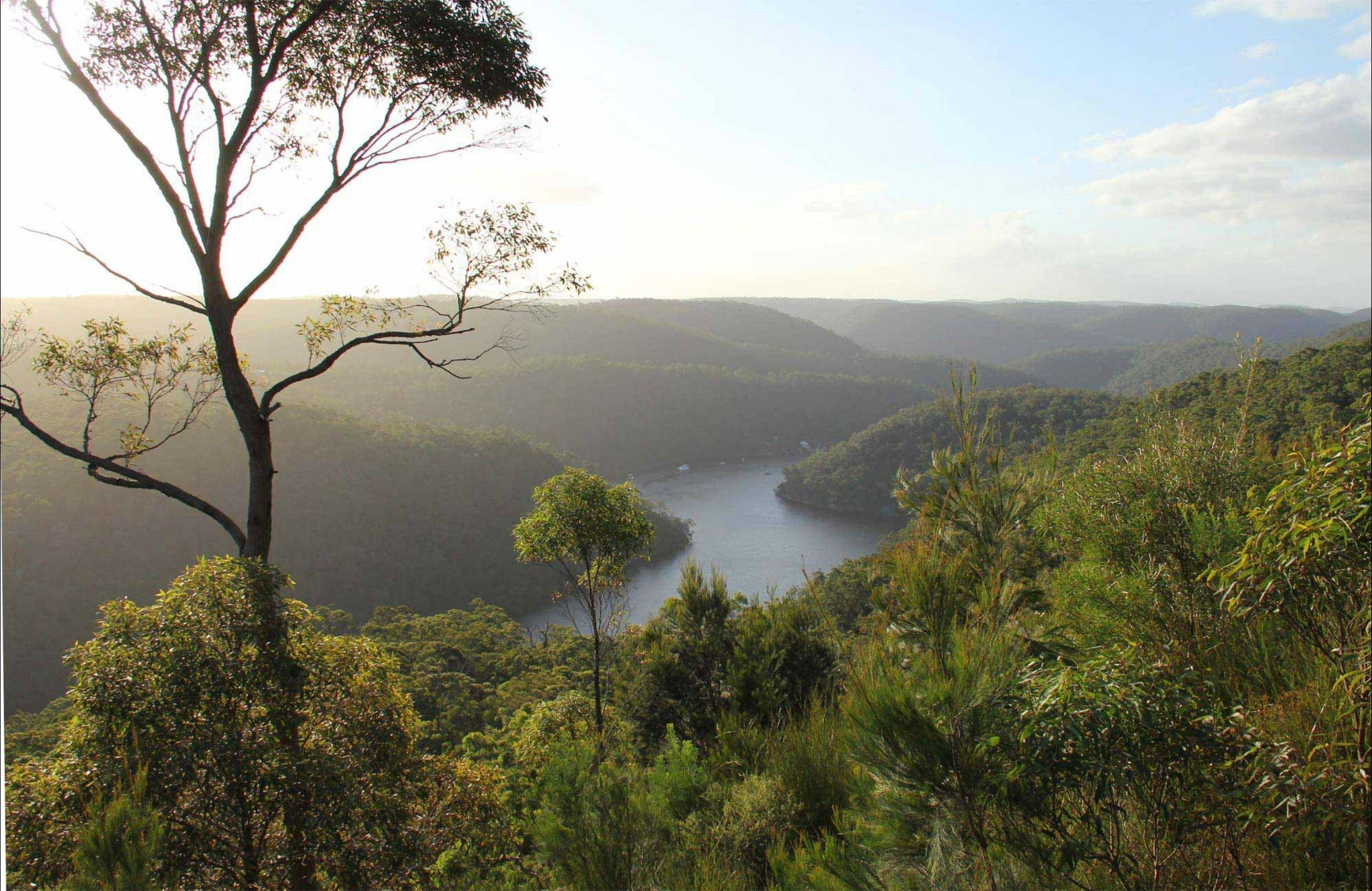 Great North walk - Berowra Valley National Park - Accommodation Adelaide