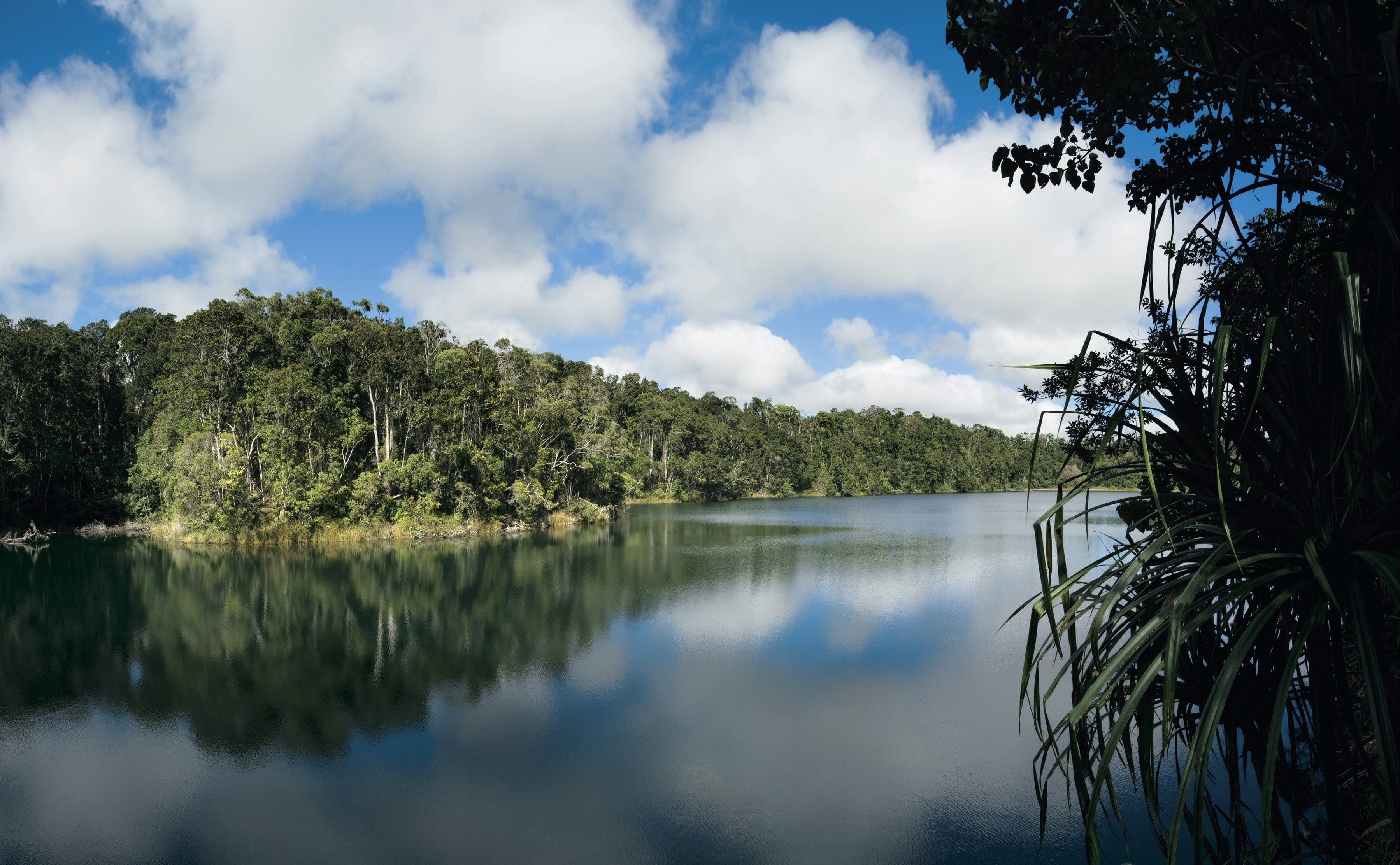 Lake Eacham Crater Lakes National Park - Find Attractions