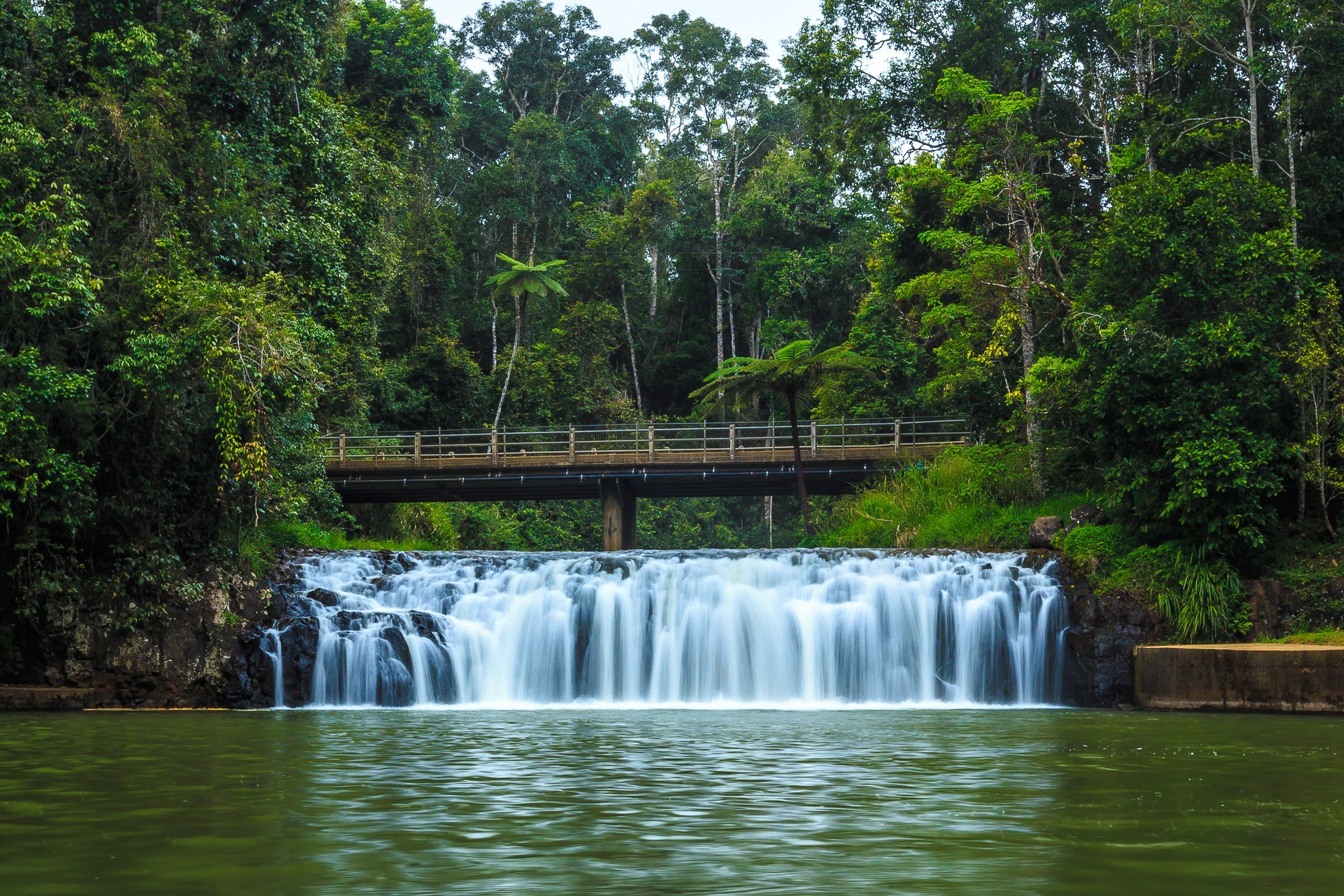 Malanda Falls - Tourism Cairns