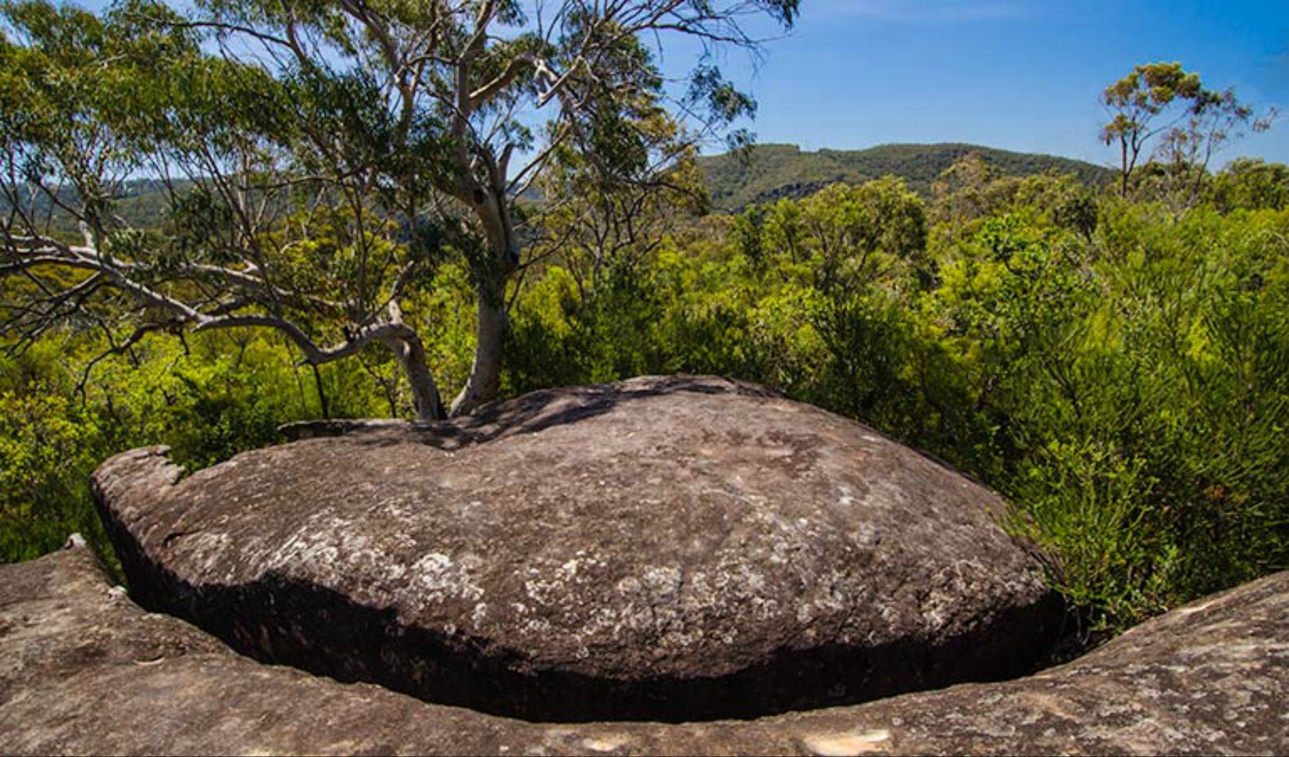 Marramarra Ridge to Smugglers Ridge walking track - Tourism Canberra