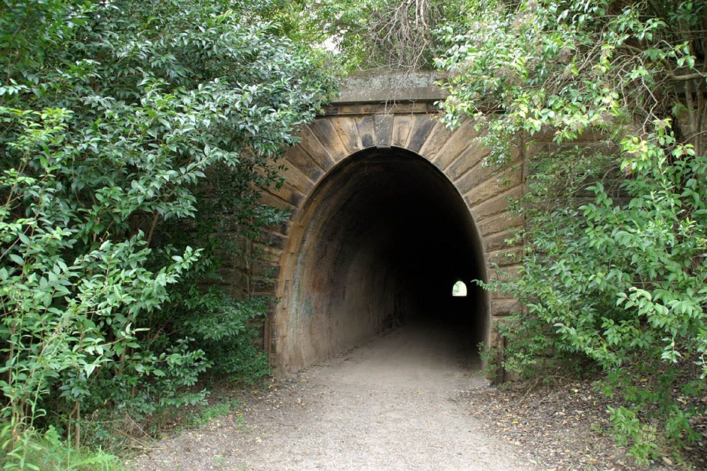 Mushroom Tunnel - Attractions