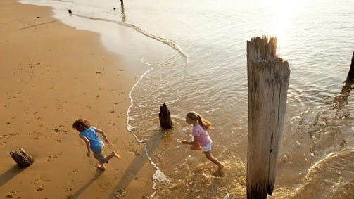 Phillip Island - Redcliffe Tourism