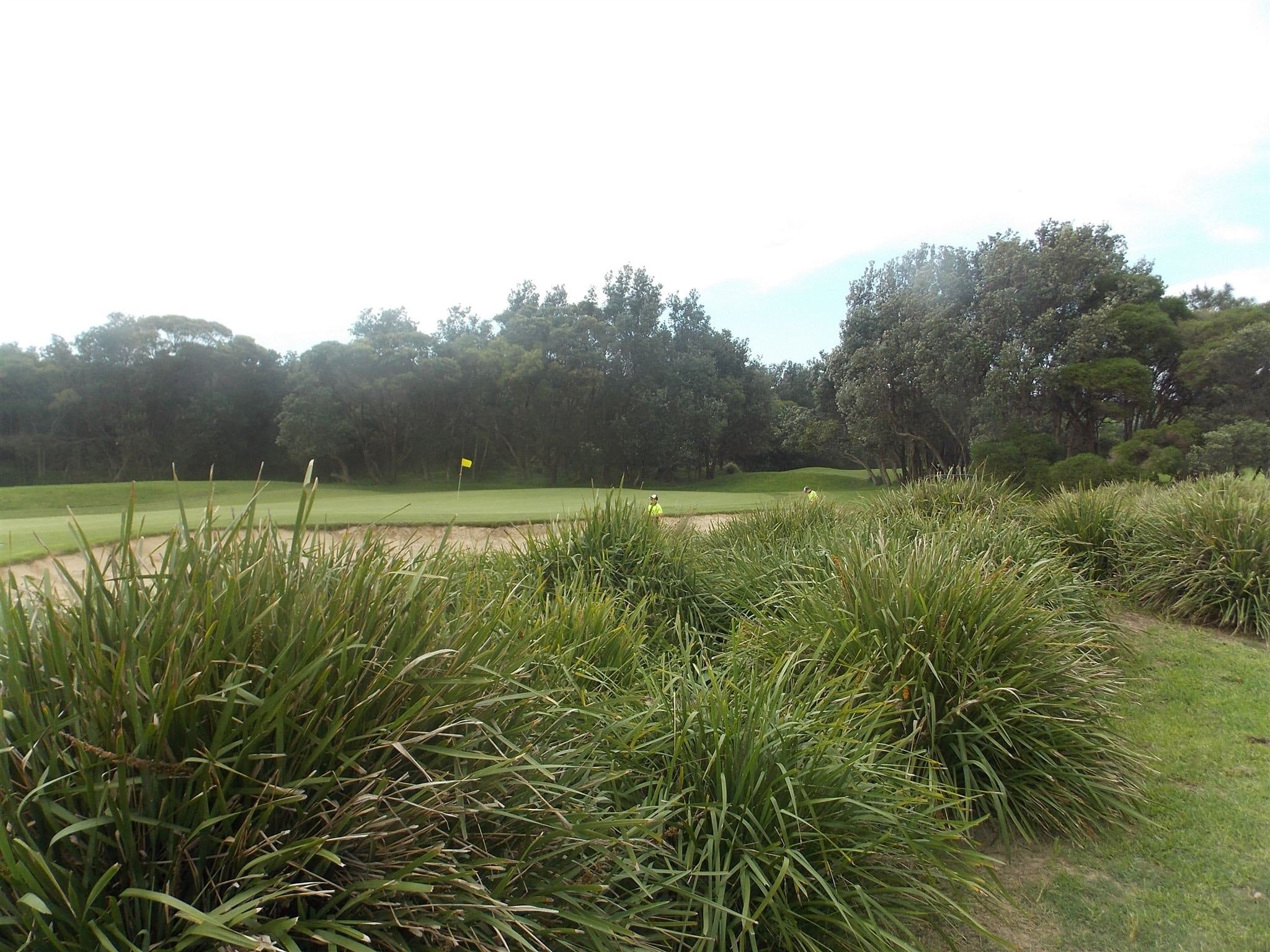 Shoalhaven Heads Golf Club - Tourism Adelaide