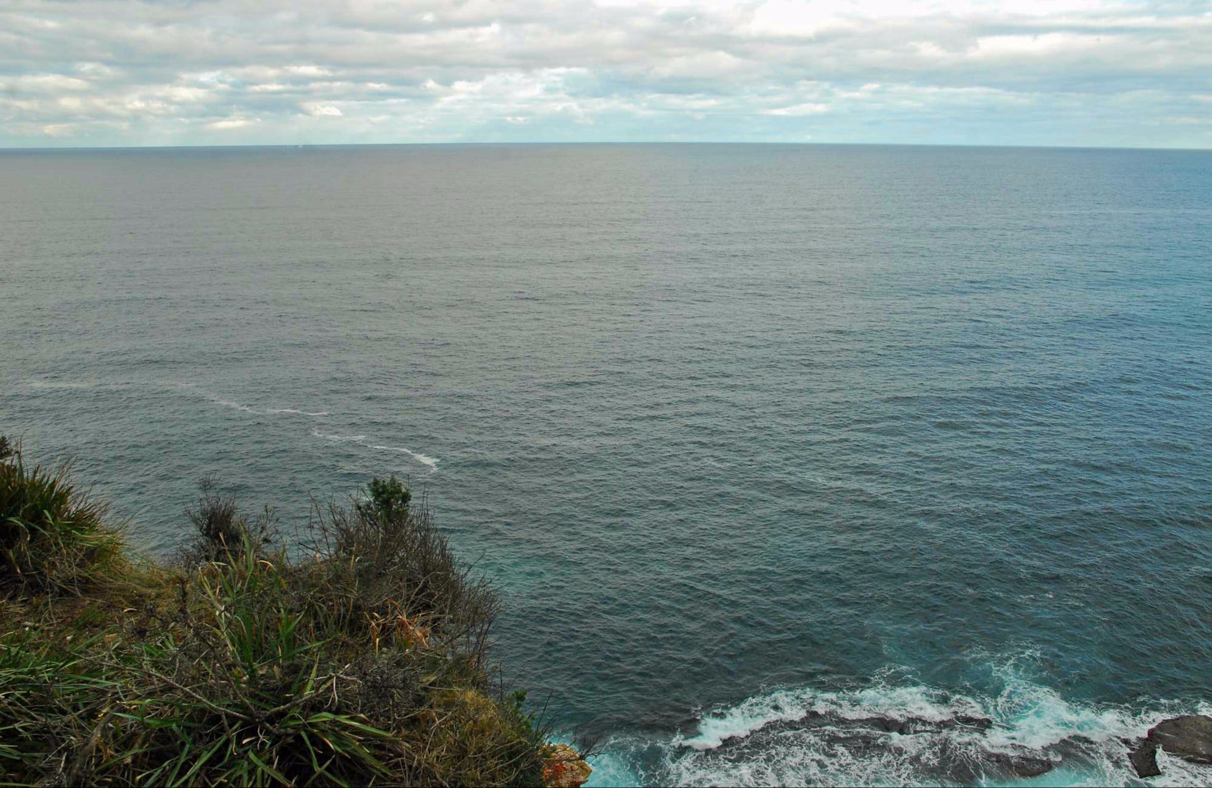 Snapper Point Lookout