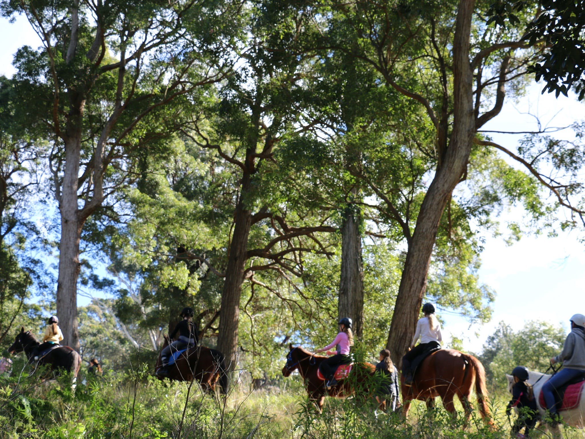 The Outlook Riding Academy - Carnarvon Accommodation