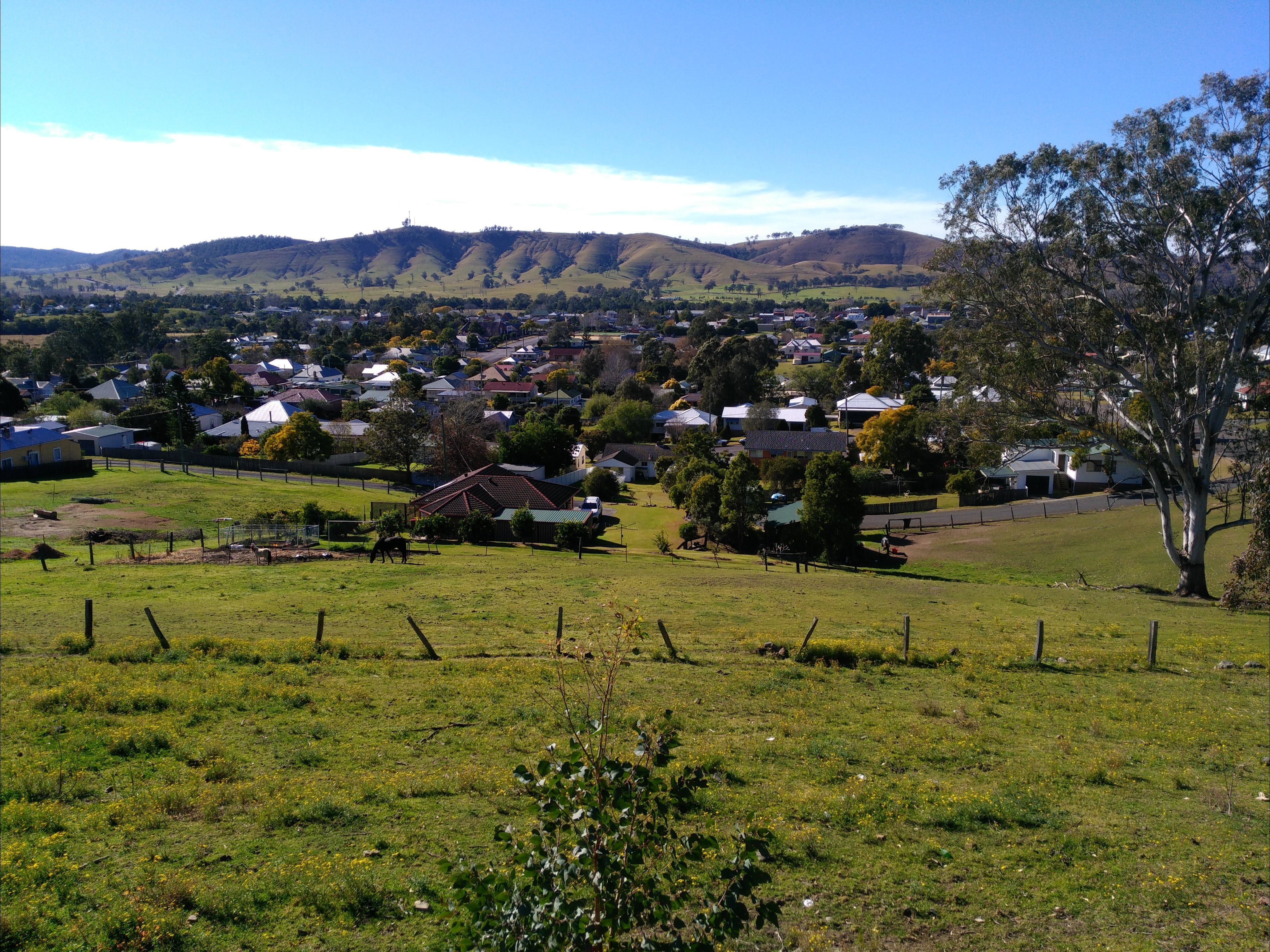 Apex Lookout Dungog - Accommodation Directory