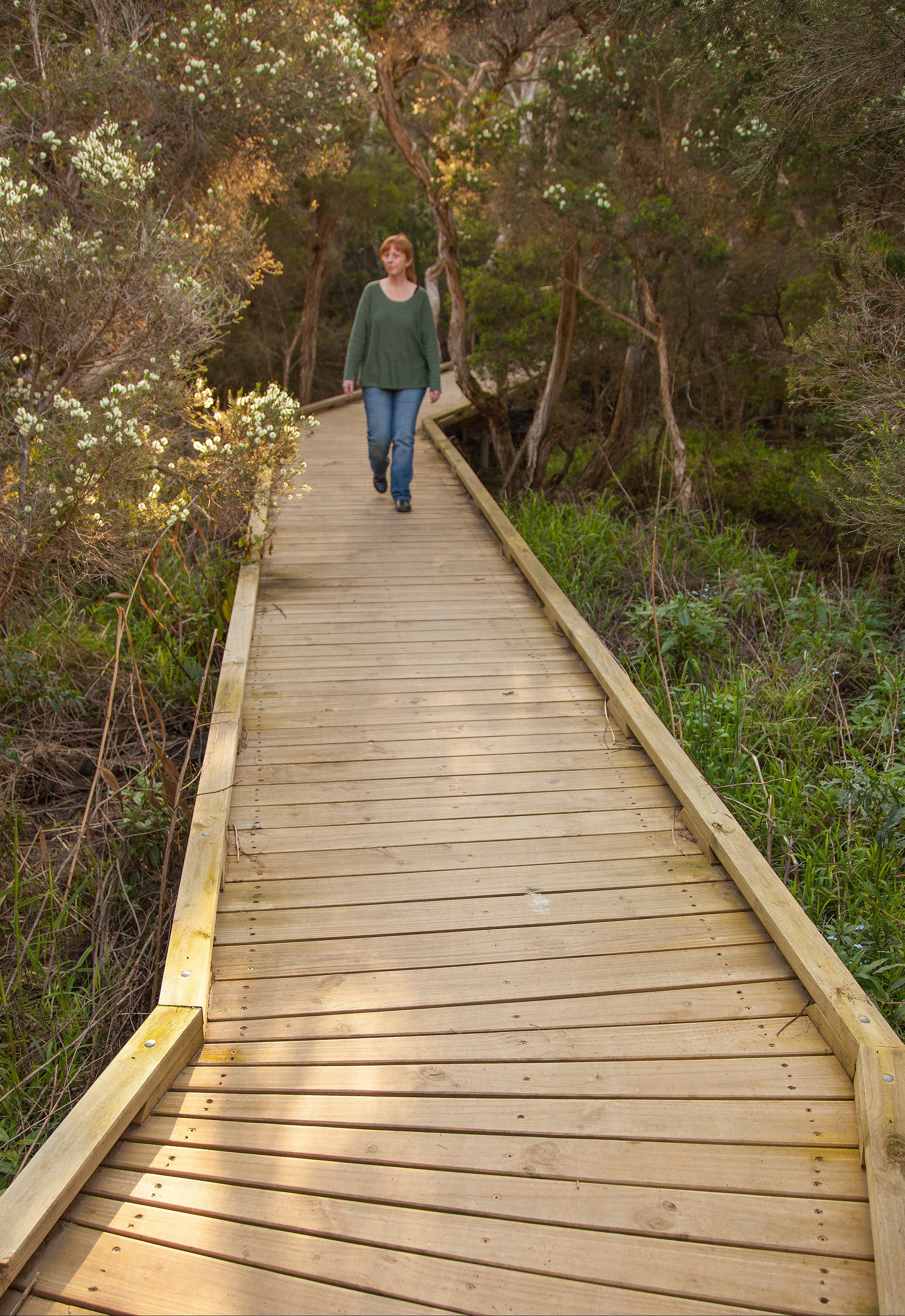 Balcombe Creek Estuary Boardwalk - New South Wales Tourism 