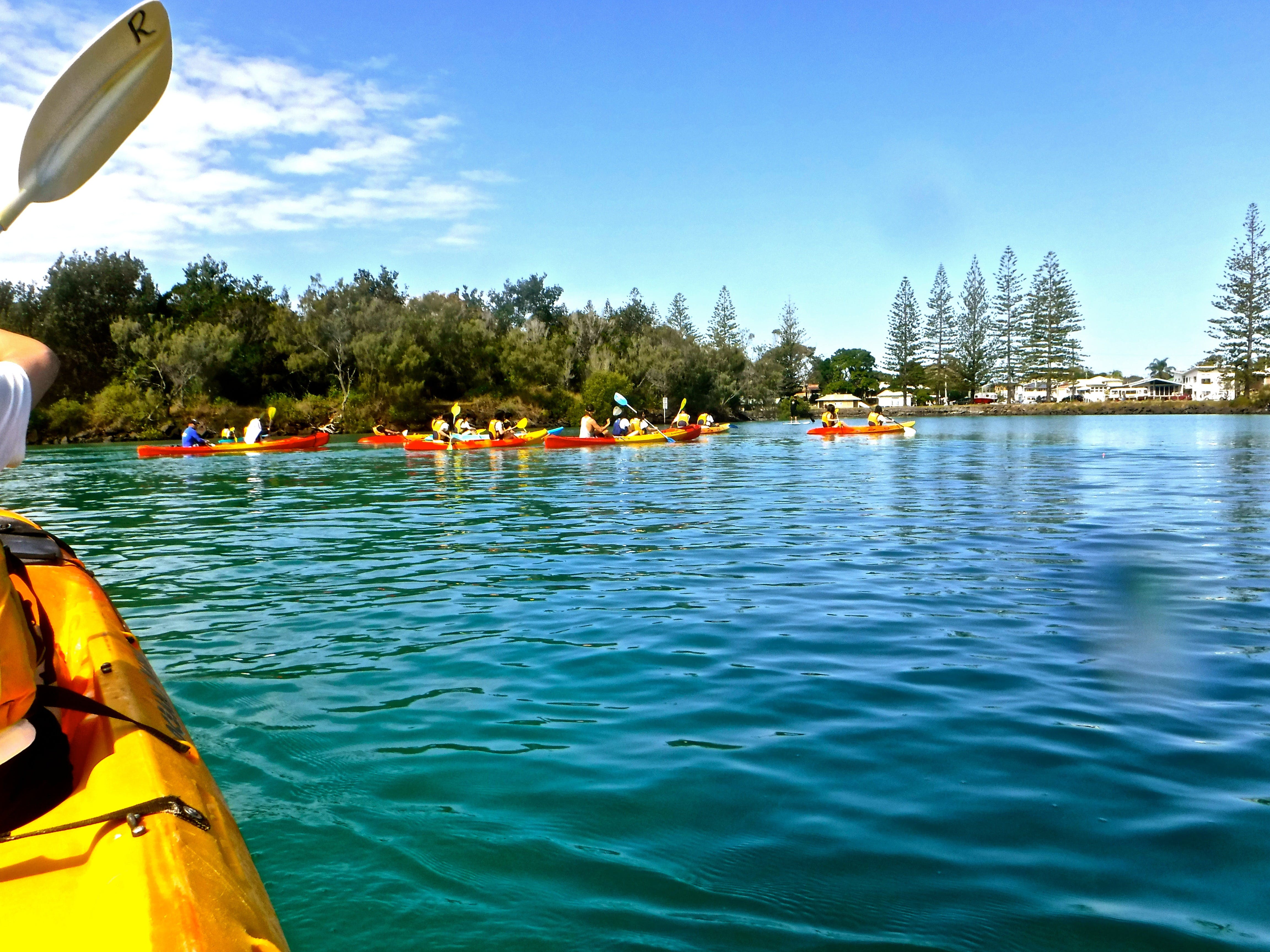 Byron Bay River Nature Kayak Tour - Attractions