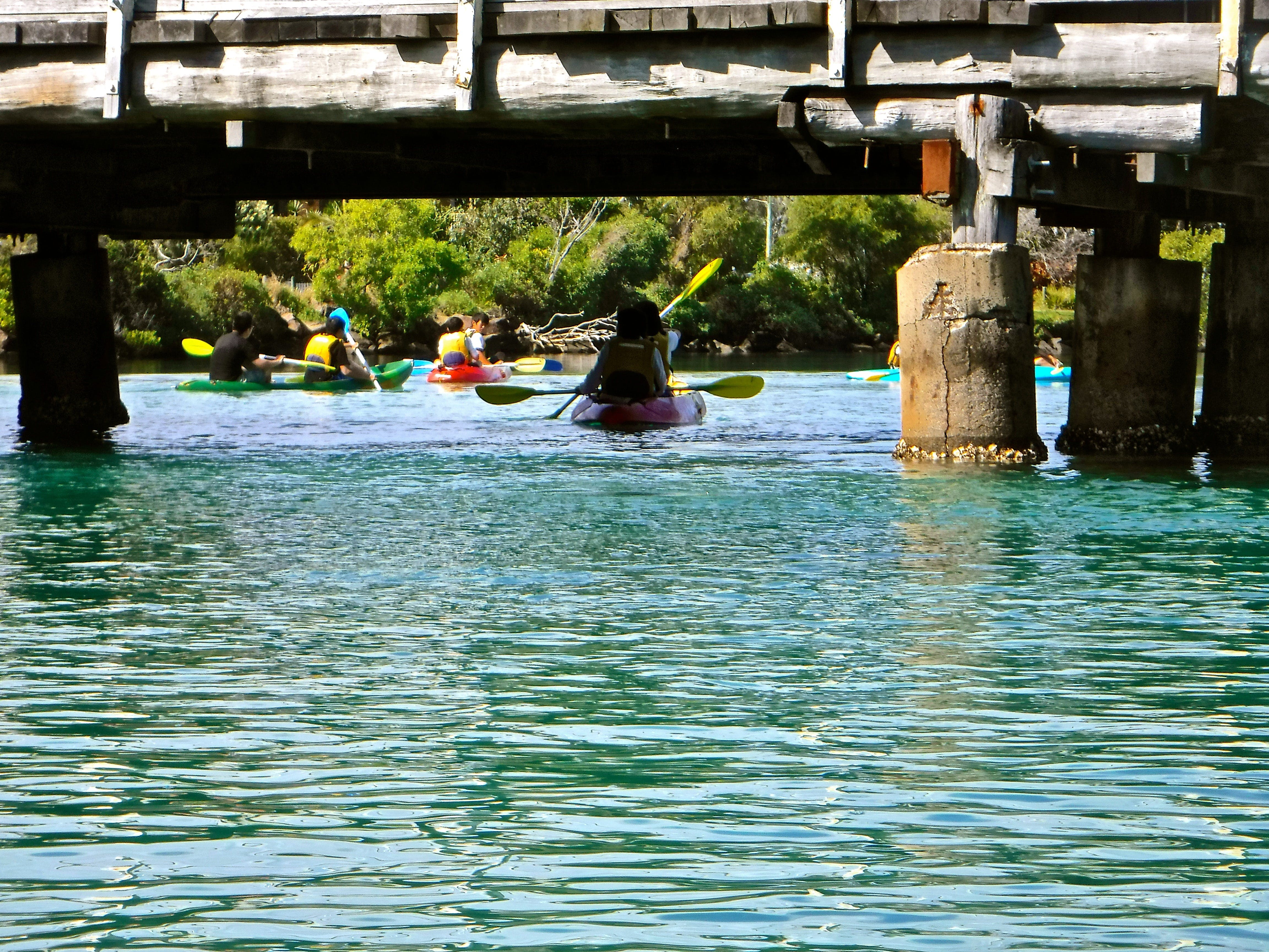 Byron Bay River Nature Kayak Tour - thumb 1