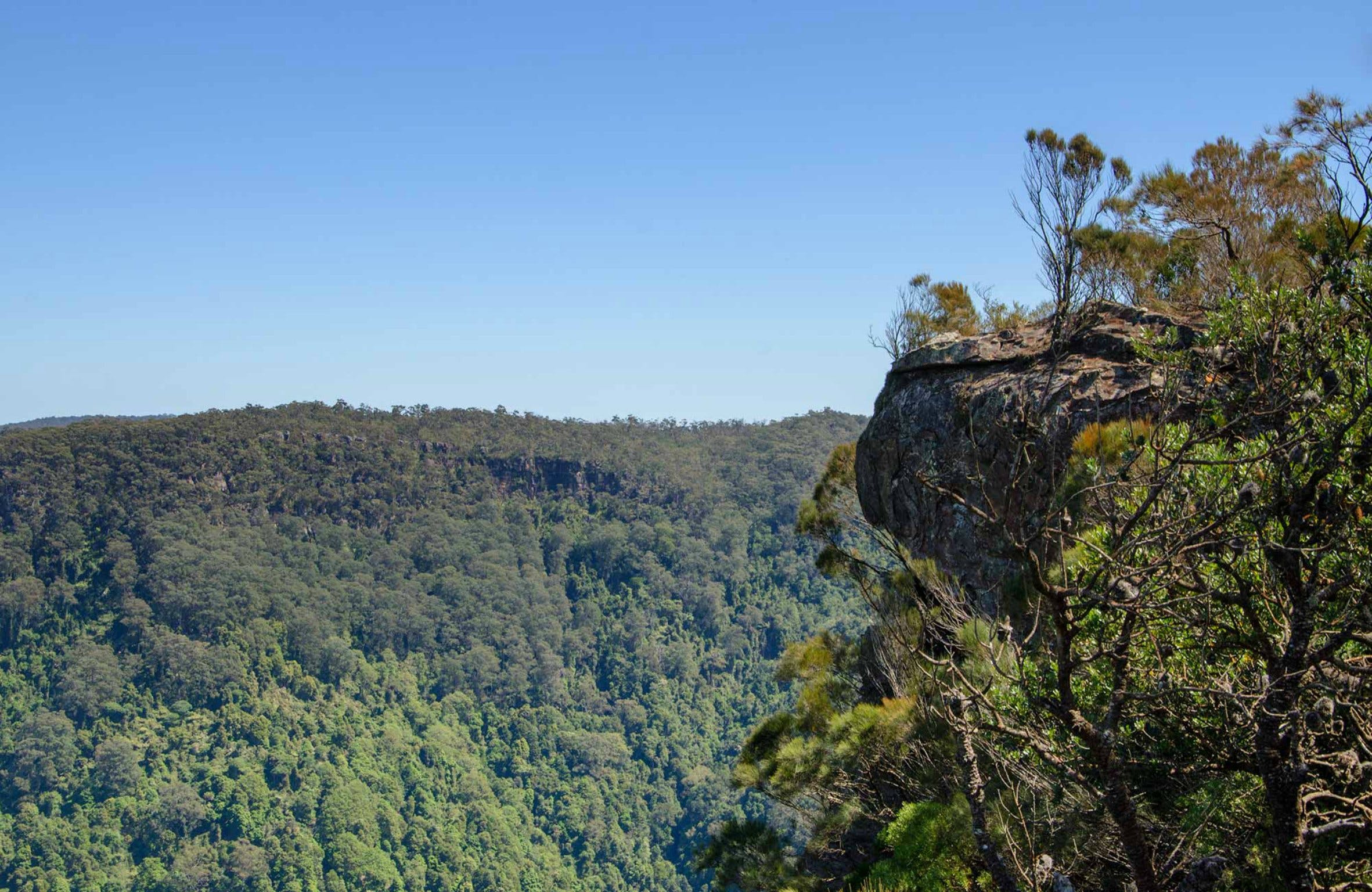 Cooks Nose Walking Track - New South Wales Tourism 