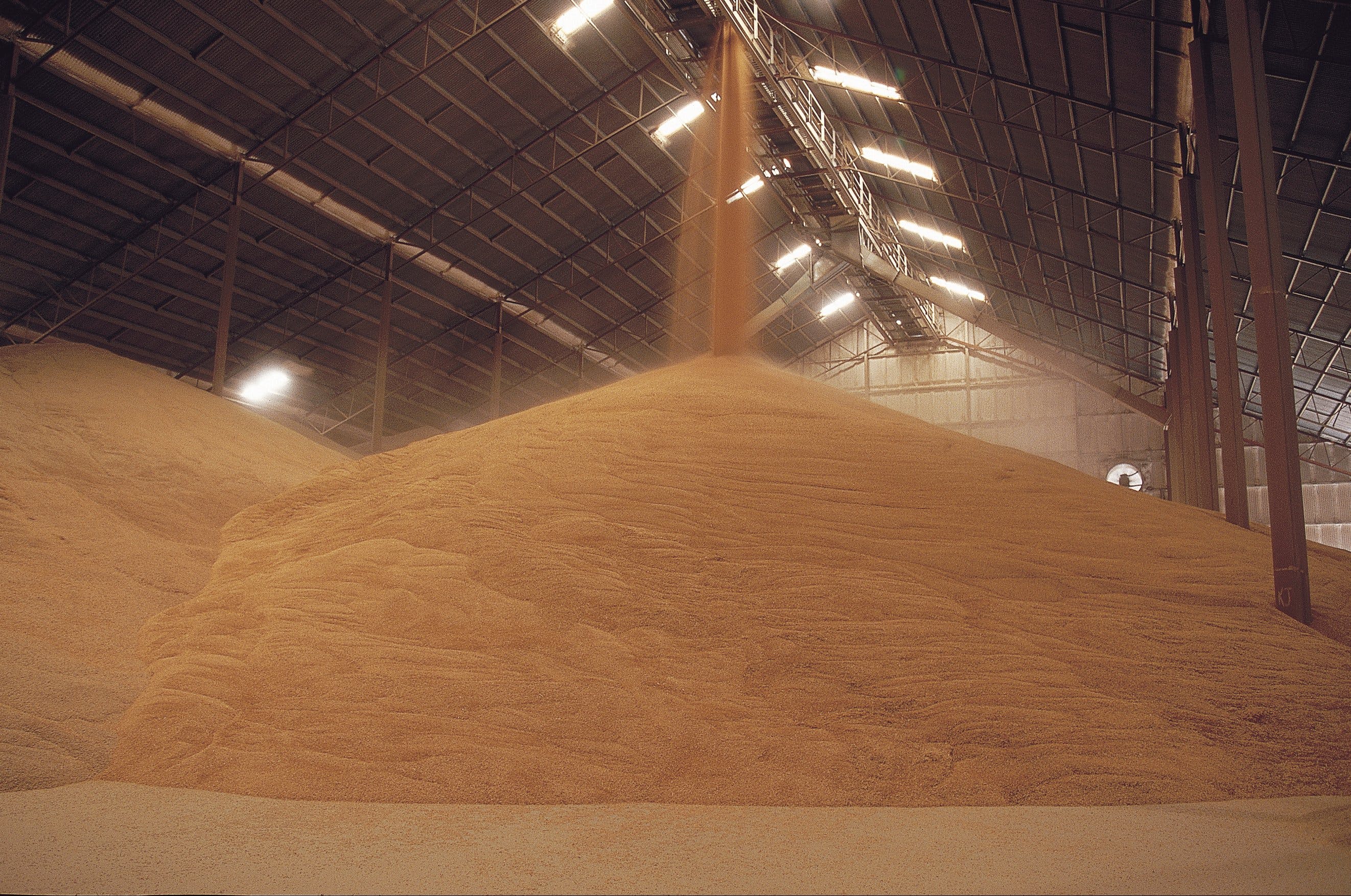 Co-operative Bulk Handling (CBH) Wheat Storage And Transfer Depot - thumb 2