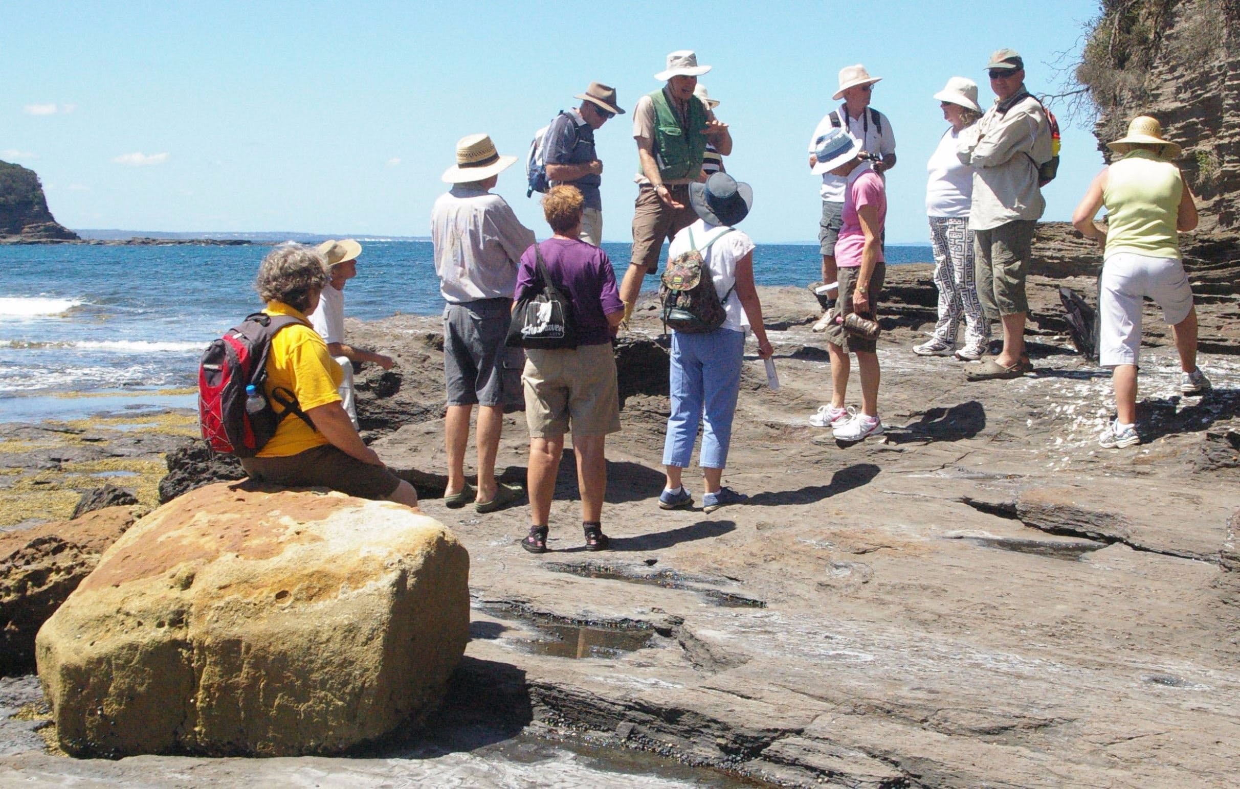 Gondwana Coast Fossil Walk - thumb 0