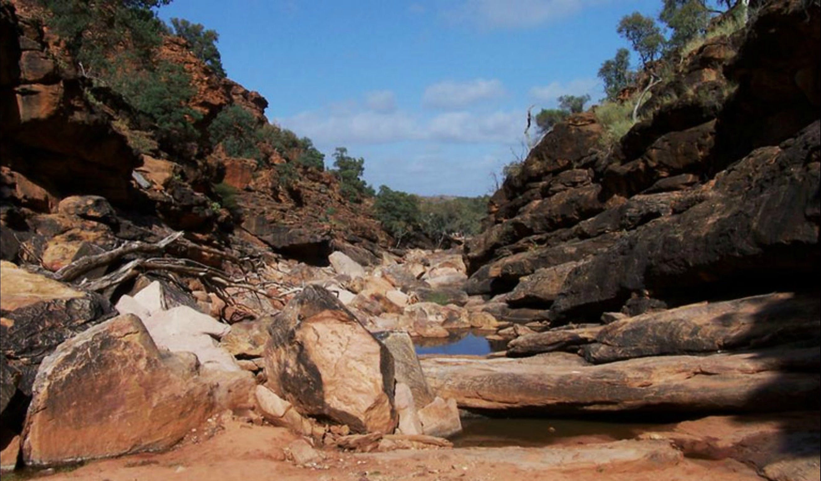 Homestead Gorge trail - Accommodation NT
