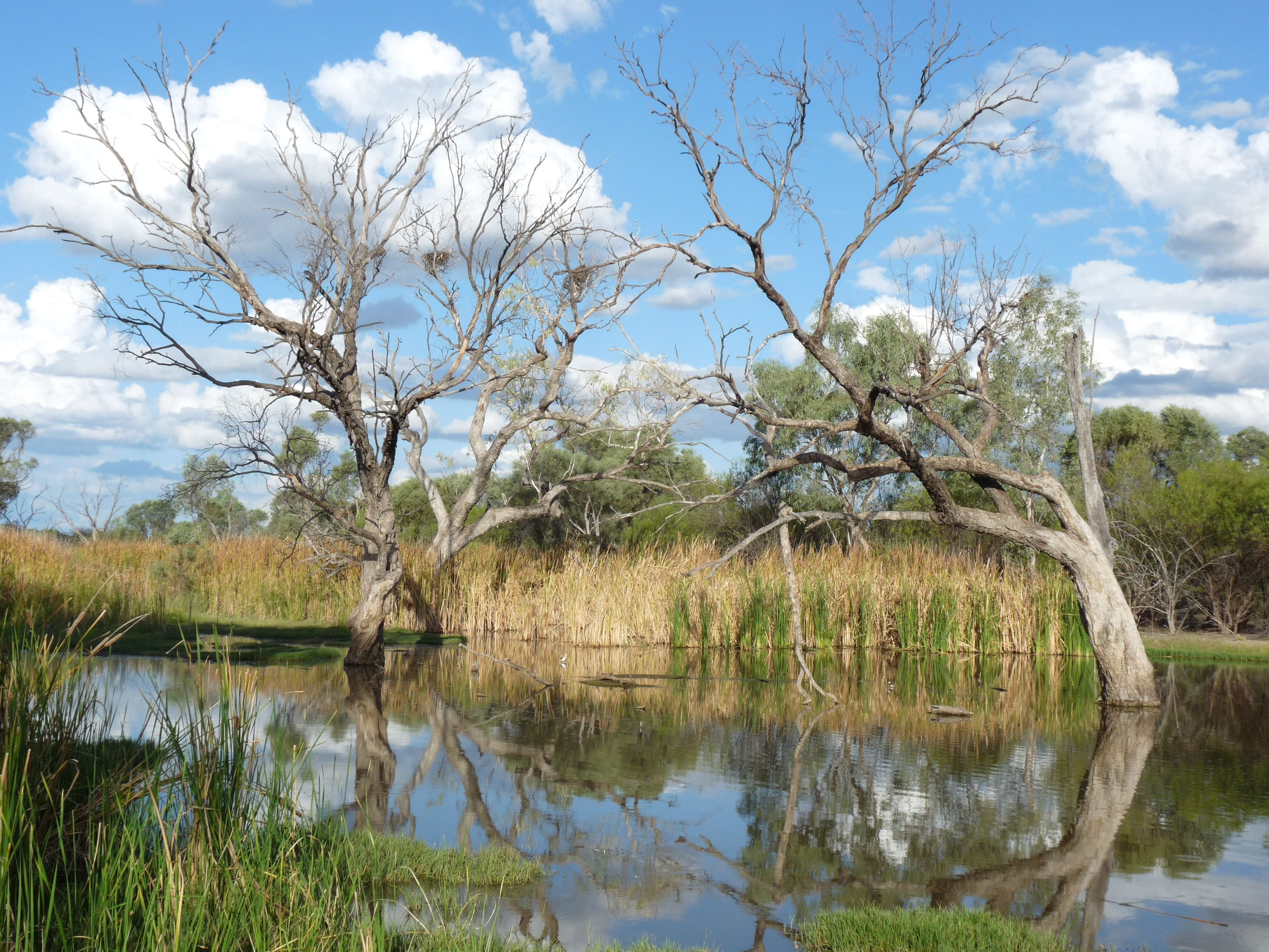 Lagoon Creek - Accommodation Adelaide