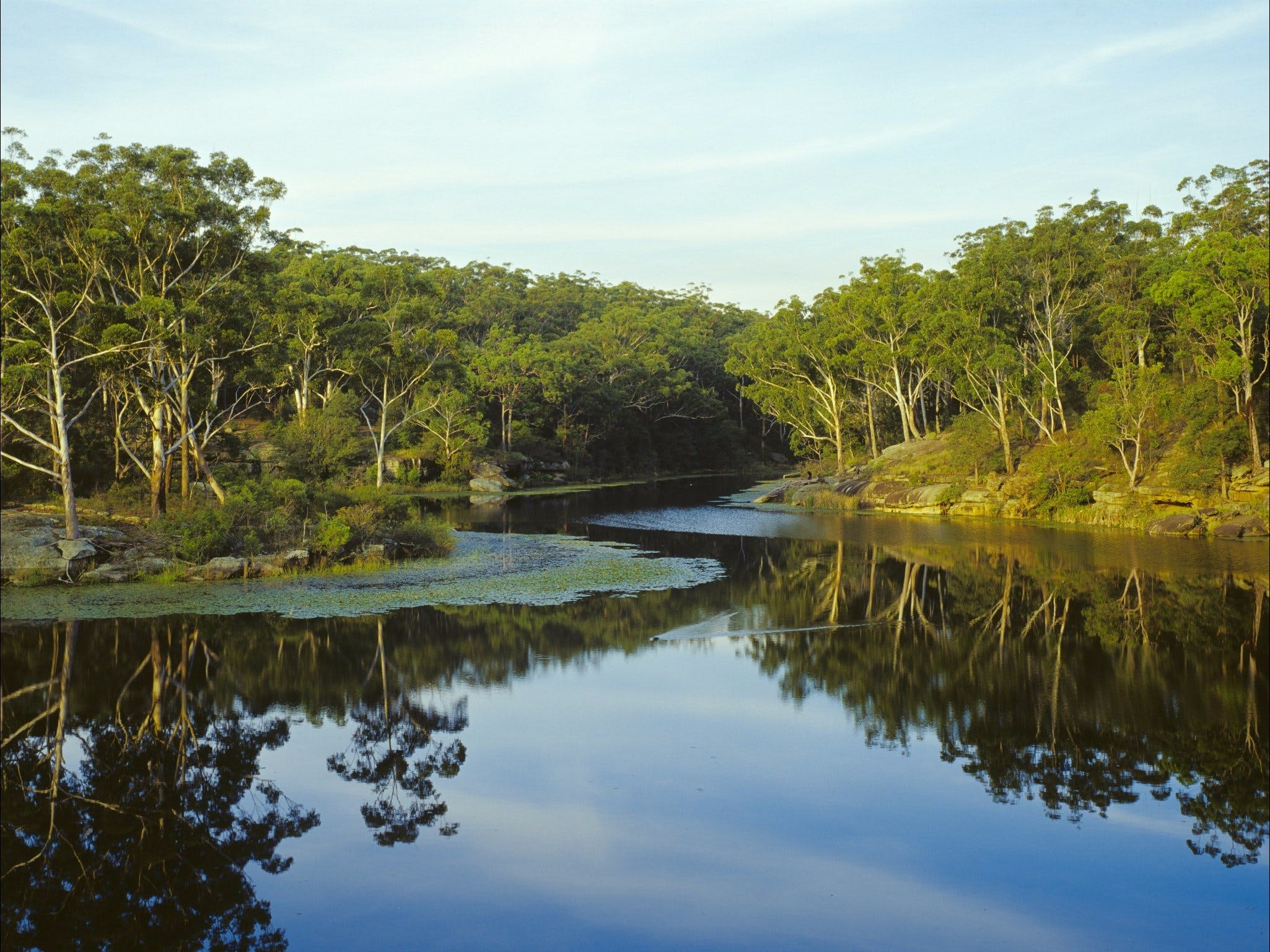Lake Parramatta Reserve And Recreation Area - thumb 0