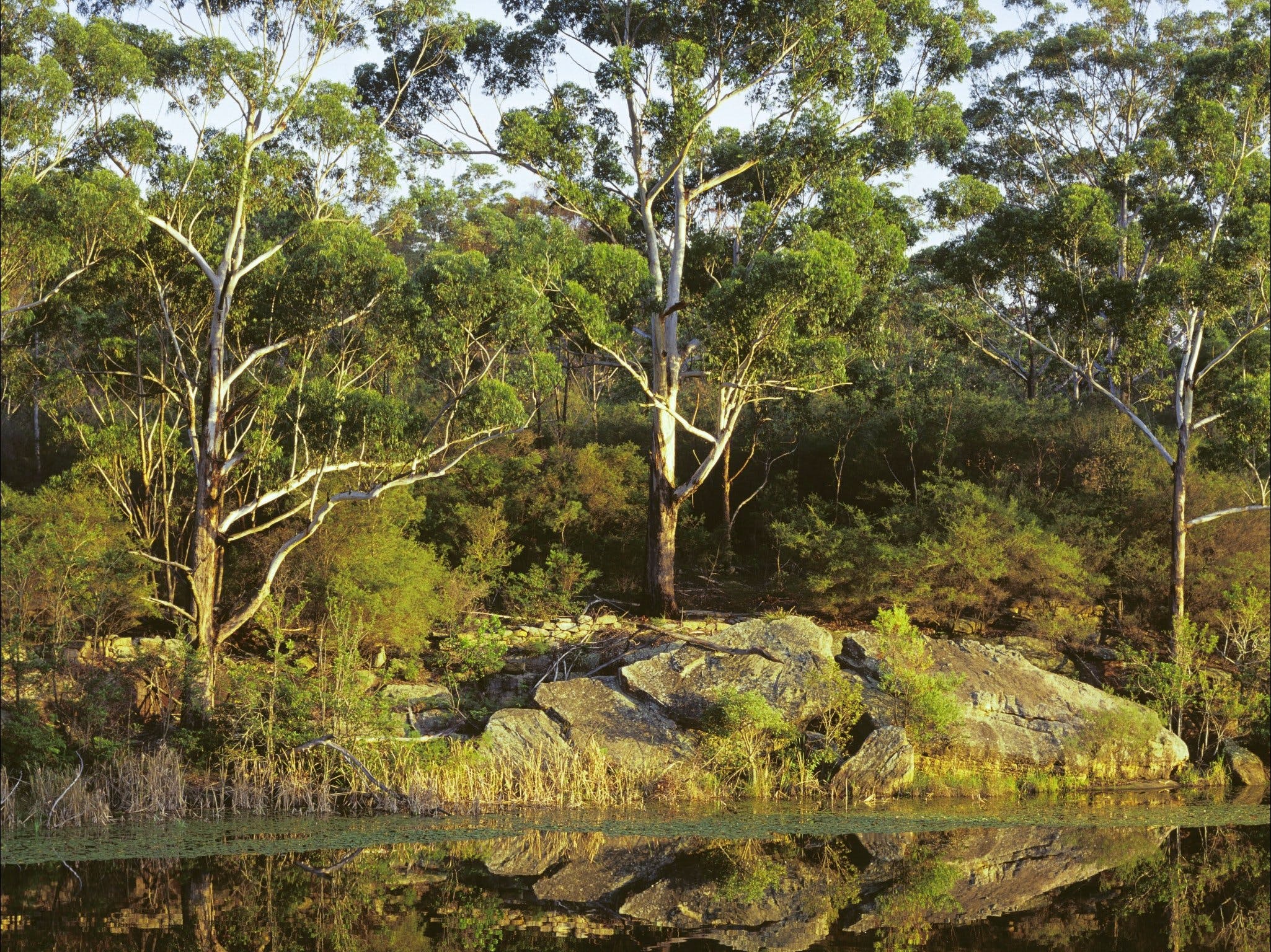 Lake Parramatta Reserve And Recreation Area - thumb 1