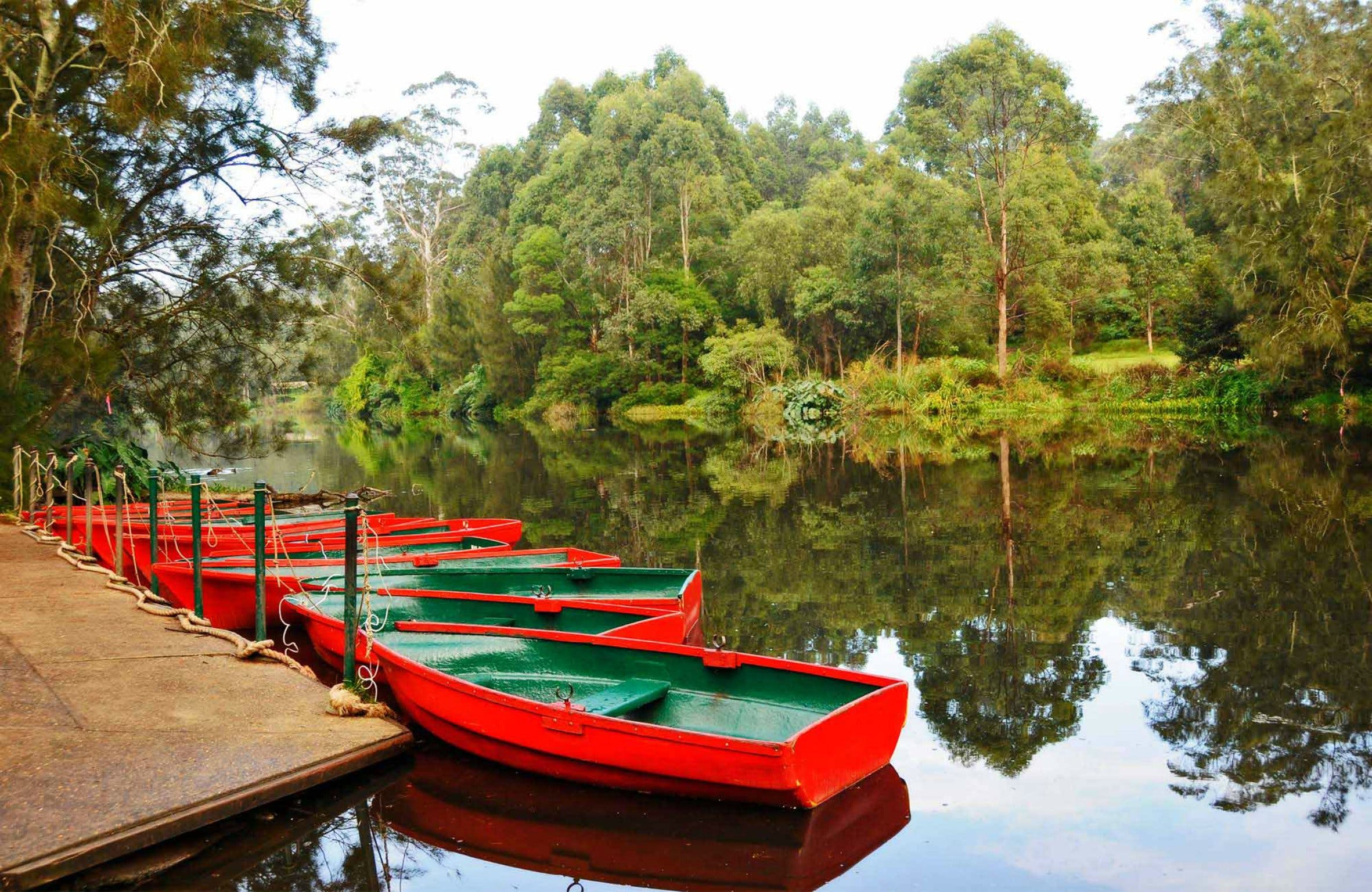 Lane Cove National Park - New South Wales Tourism 