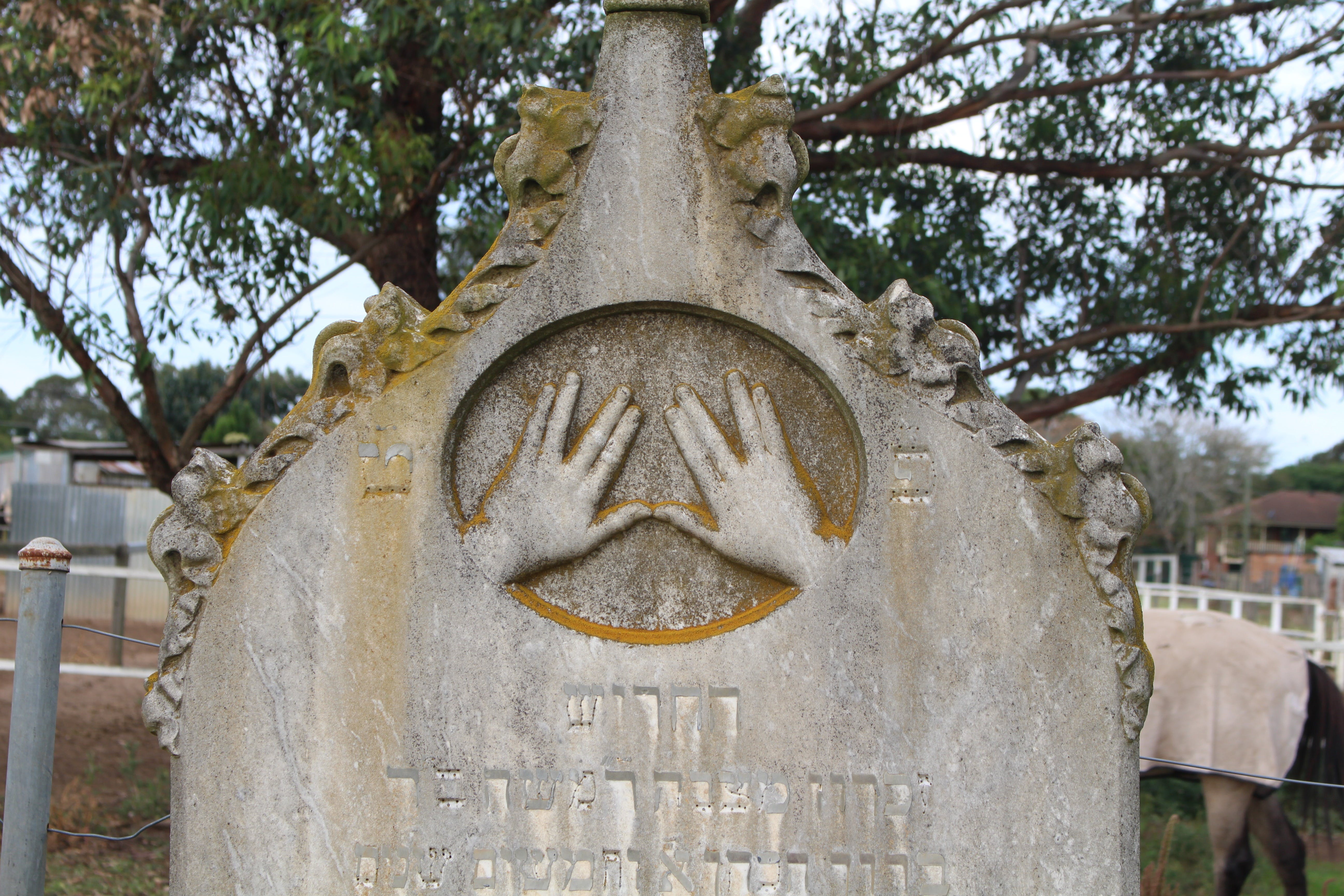 Maitland Jewish Cemetery - thumb 2