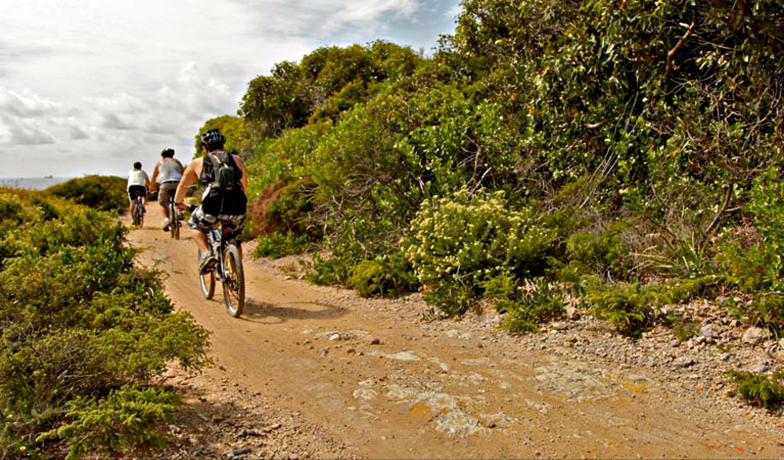 Mountain Biking Trails - Attractions
