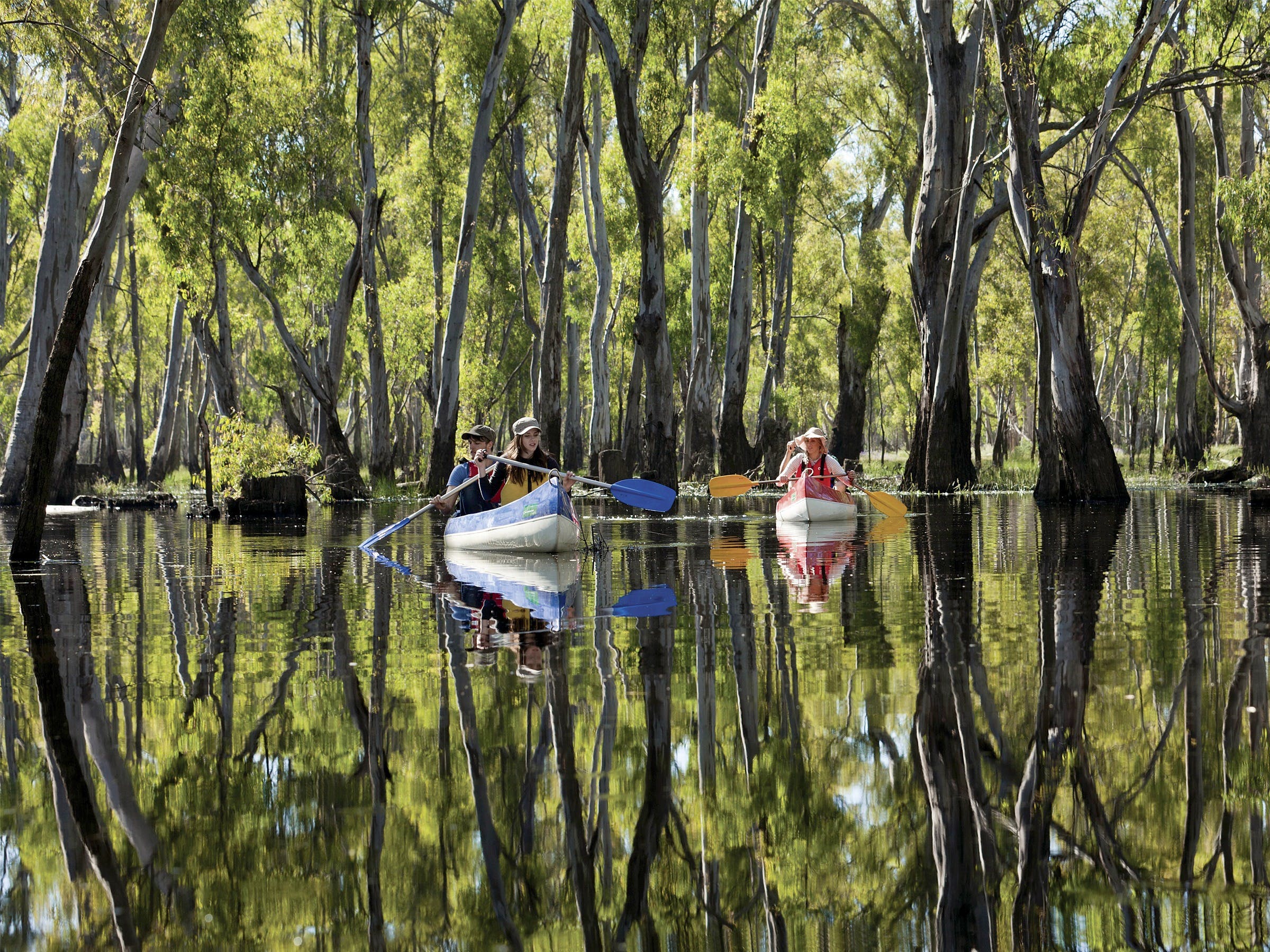 Murray River canoe trails