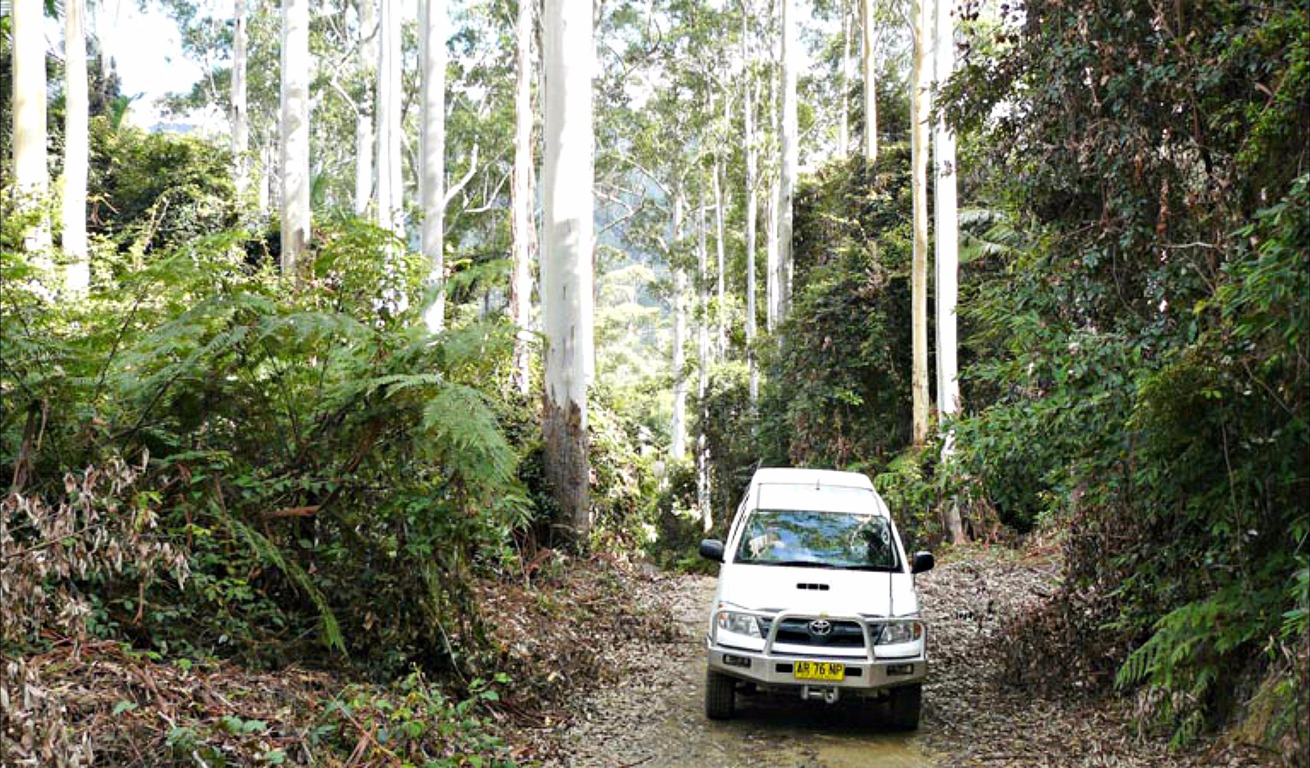 Orara Escarpment 4WD Touring Route - thumb 0