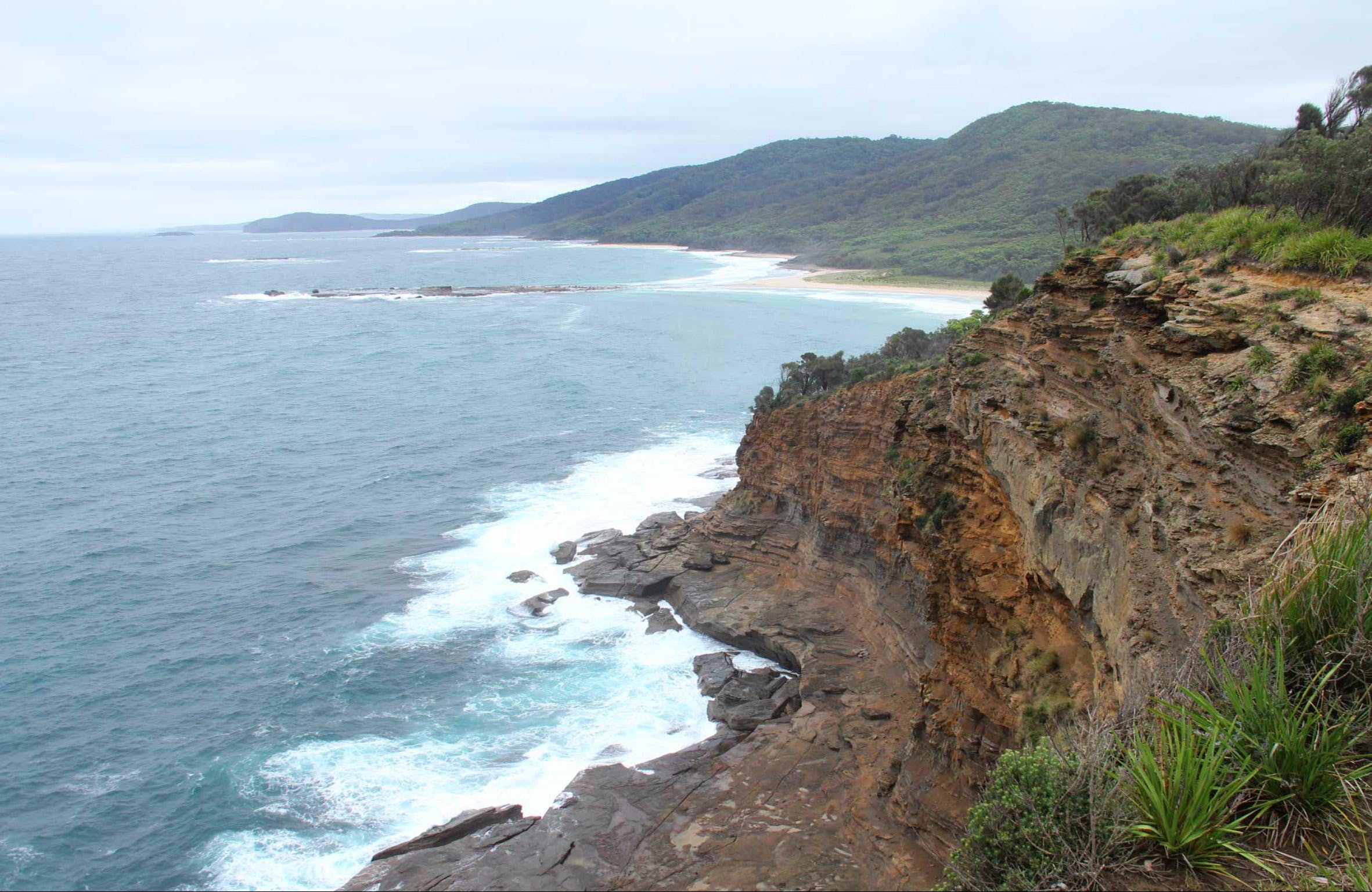 Pretty Beach to Snapper Point Walking Track - Attractions