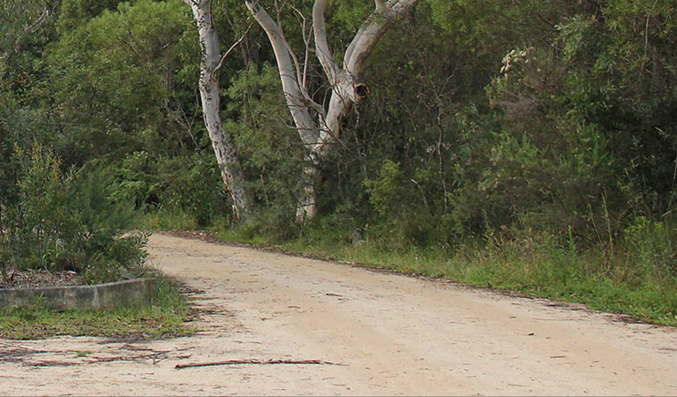 Riverview walking track - Accommodation NT